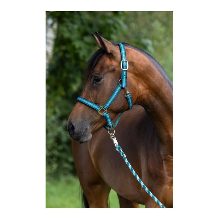 Covalliero Halfter Mustang