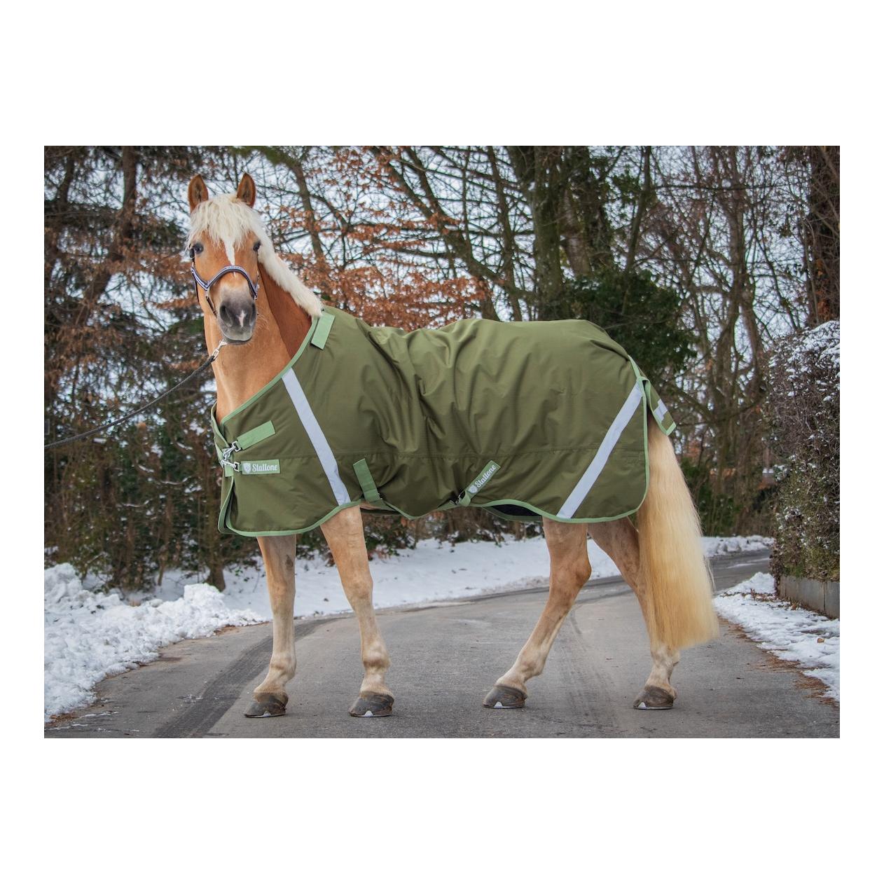 Decken-Set Weidedecke 300 g Outdoor Guard mit Halsteil Decken-Set Weidedecke 300 g Outdoor Guard mit Halsteil