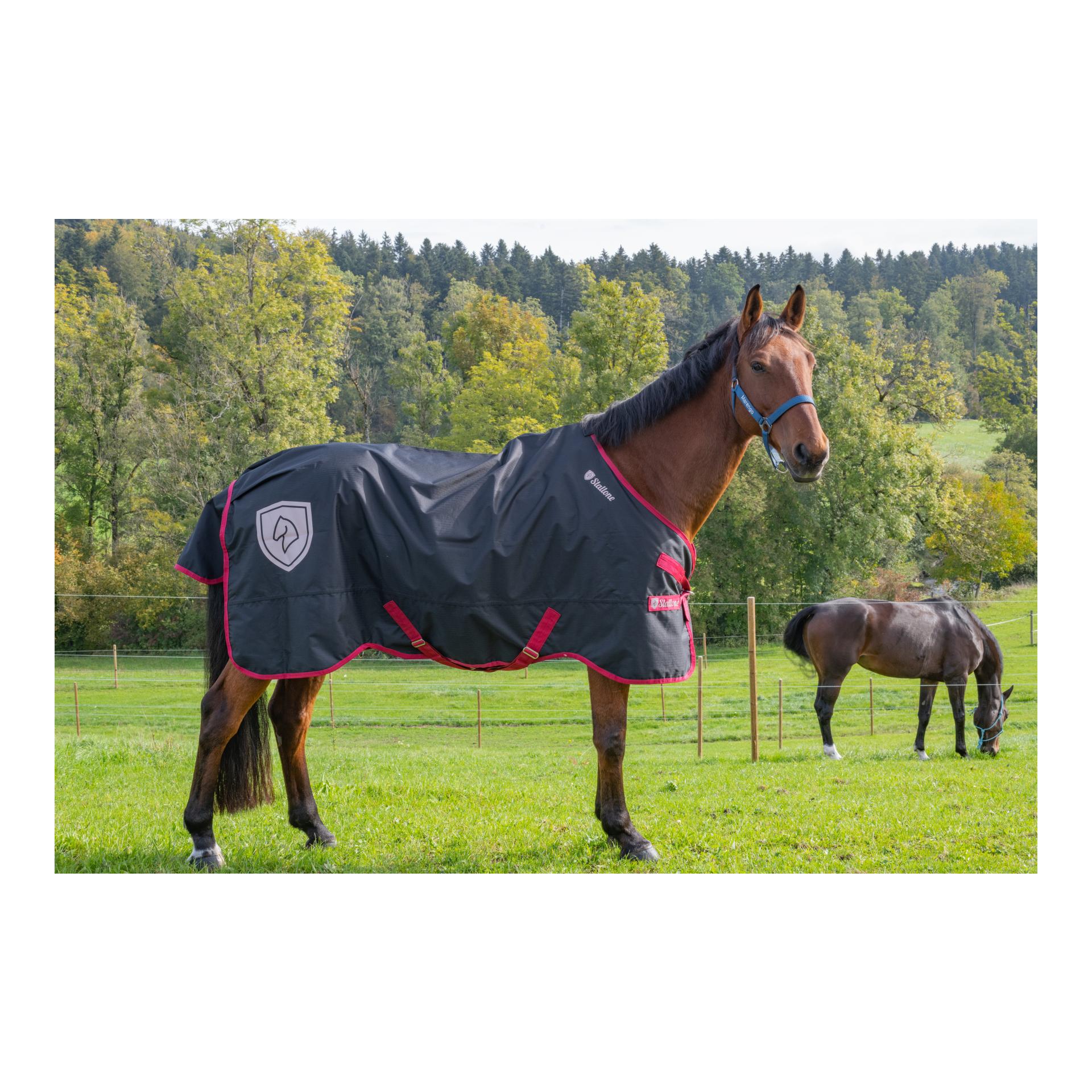 Weidedecke 200 g Dallas Weidedecke 200 g Dallas