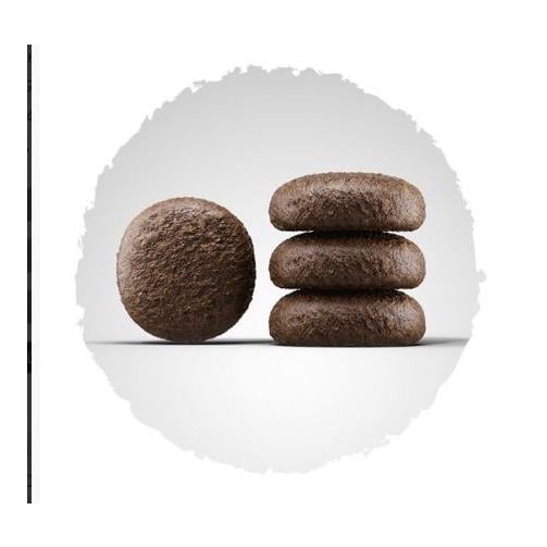 Nourriture sèche au canard et aux pommes de terre