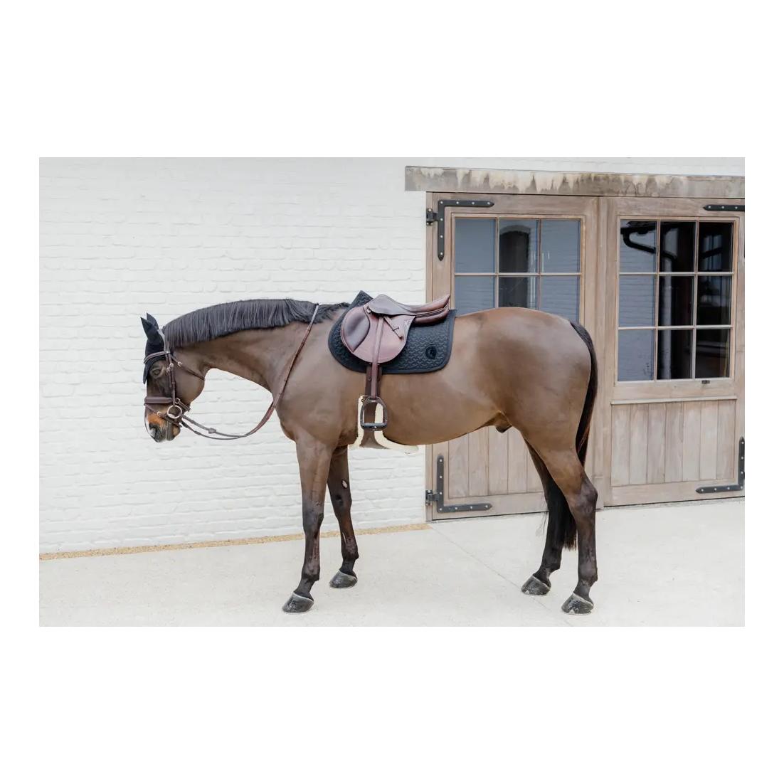 Schabracke Plaited 3D Logo und Ohrengarn Wellington 3D Logo Set