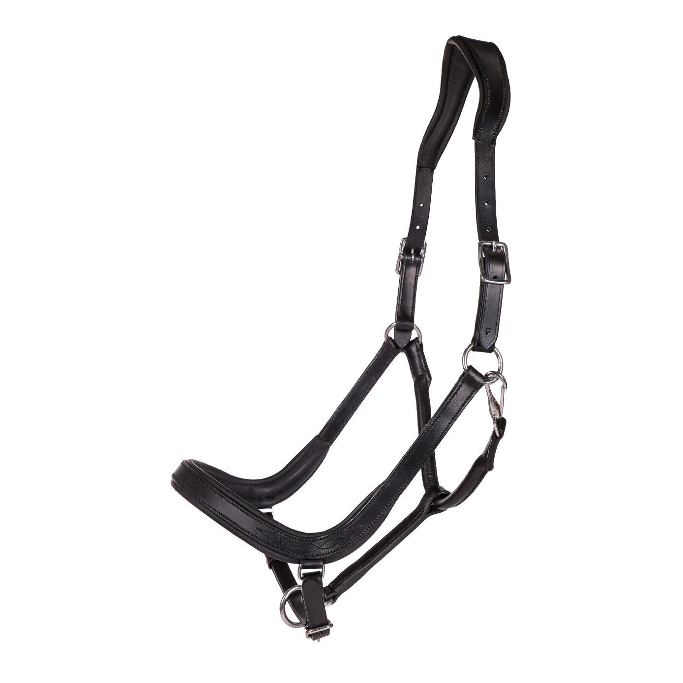 Licol en cuir anatomique Salerno