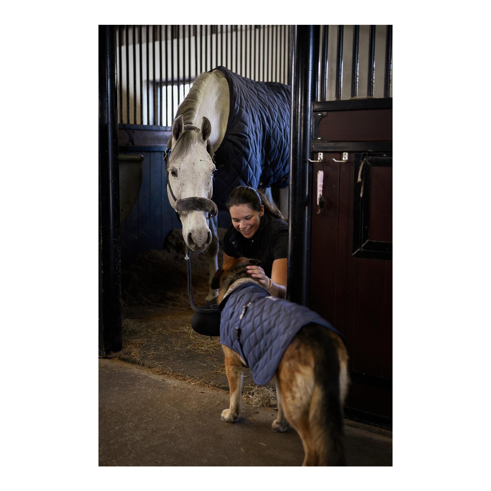 Stalldecke Freedom Cosy