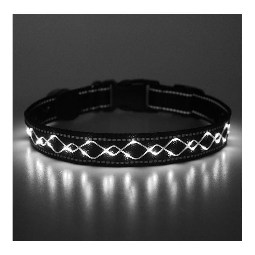 Collier lumineux pour chien "Beauty"
