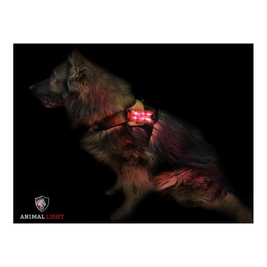 Leucht - Hundegeschirr "Flex" - rot Leucht - Hundegeschirr "Flex" - rot