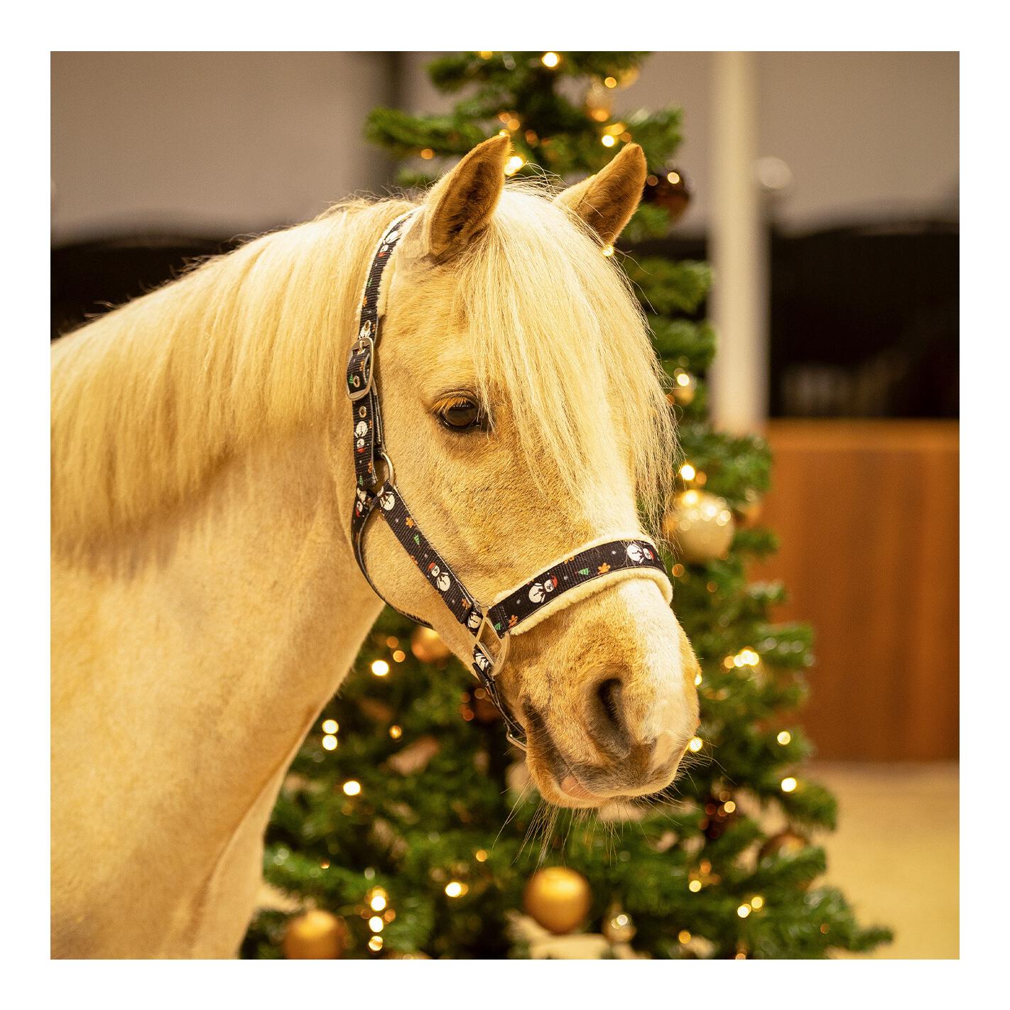 Halfter Christmas Snowman Halfter Christmas Snowman