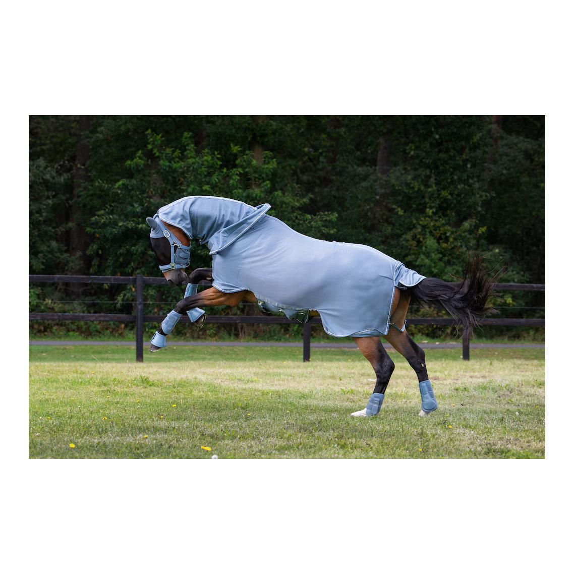 Fliegendecke FLY DETACH-NECK Classic Sports 25 S/S Fliegendecke FLY DETACH-NECK Classic Sports 25 S/S