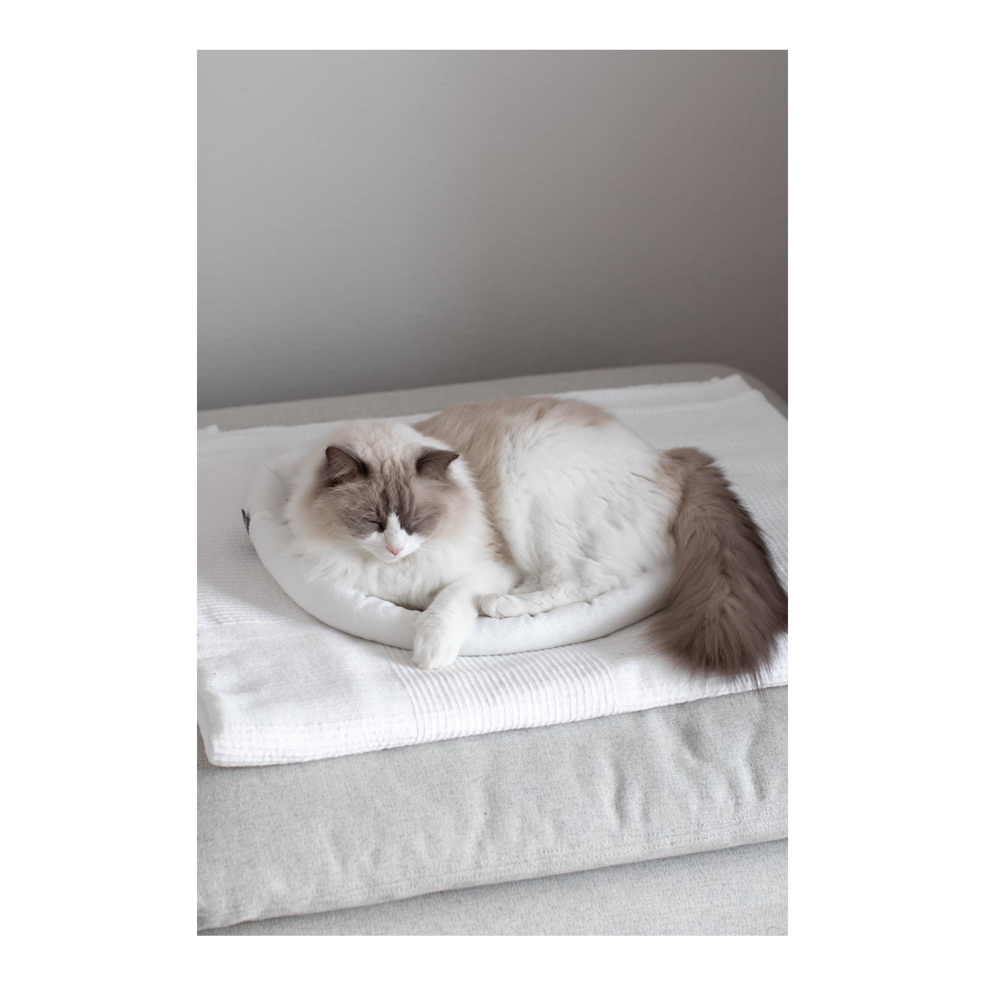 Kuschelbett Sweety - beige/nude Kuschelbett Sweety - beige/nude
