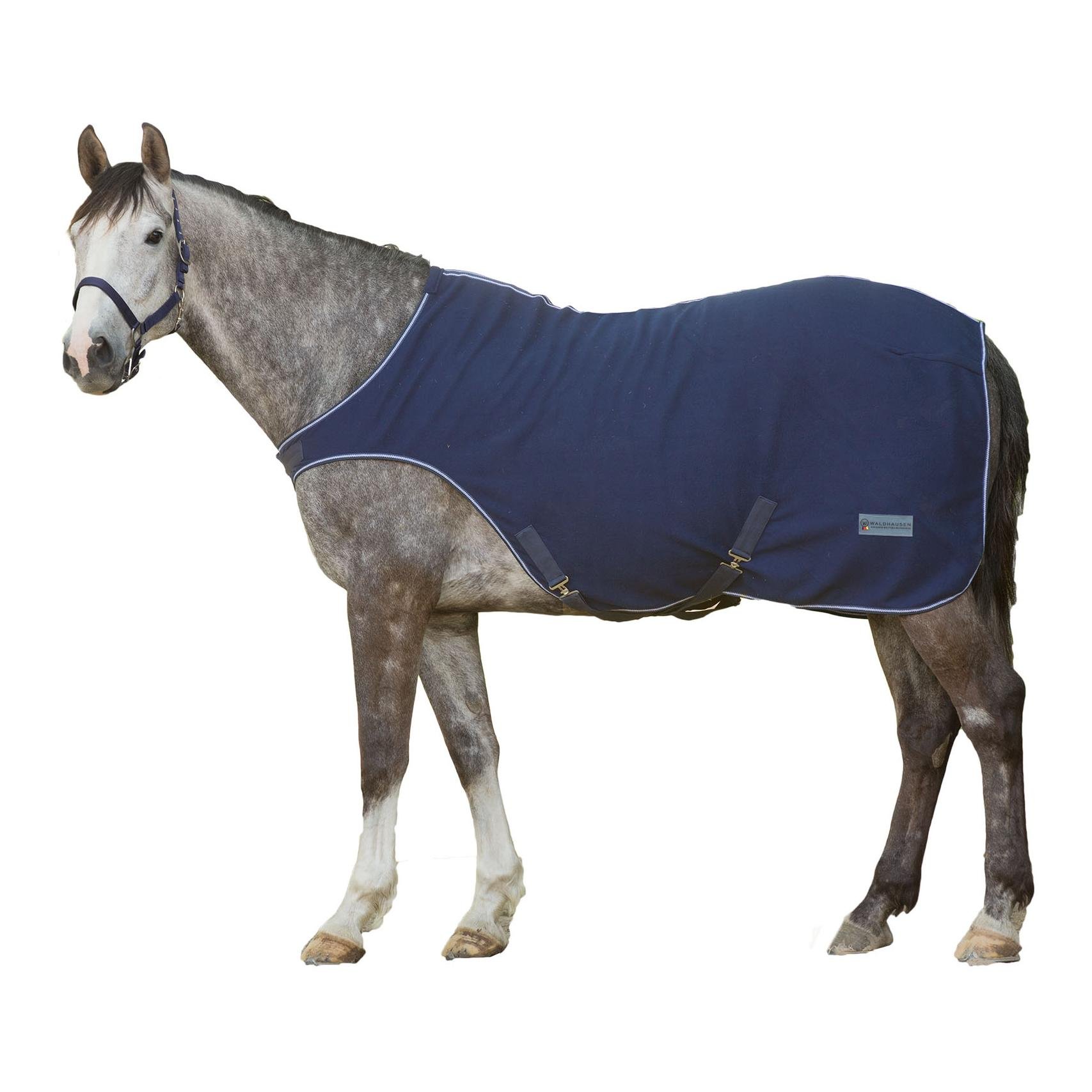 Führanlagendecke Economic - nachtblau