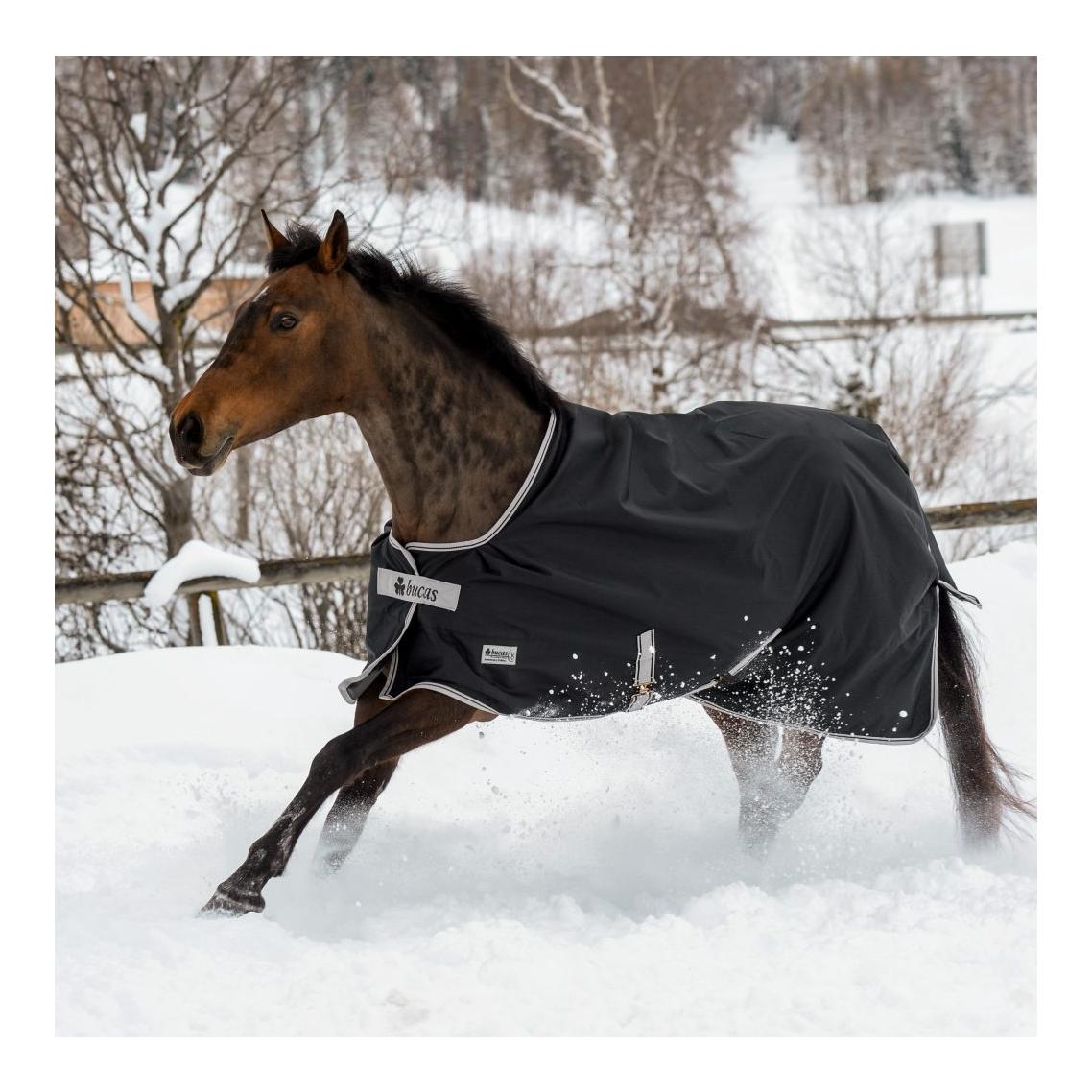 Anniversary Turnout Light SD