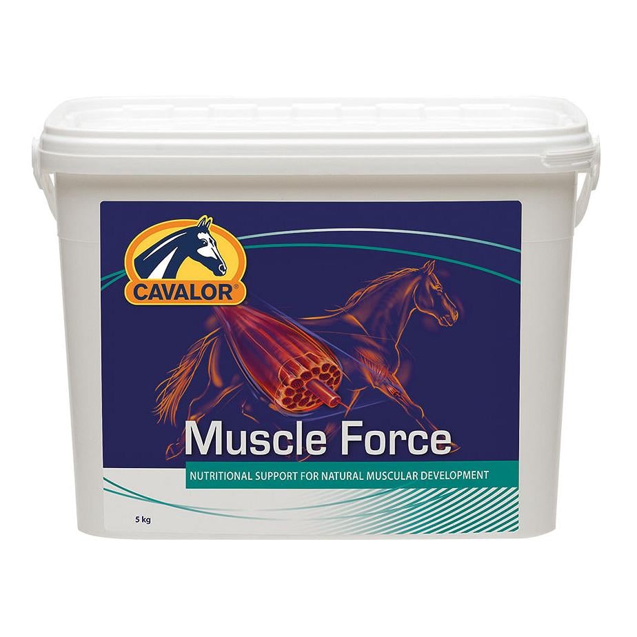 Muscle Force - zur Unterstützung der Muskelkraft