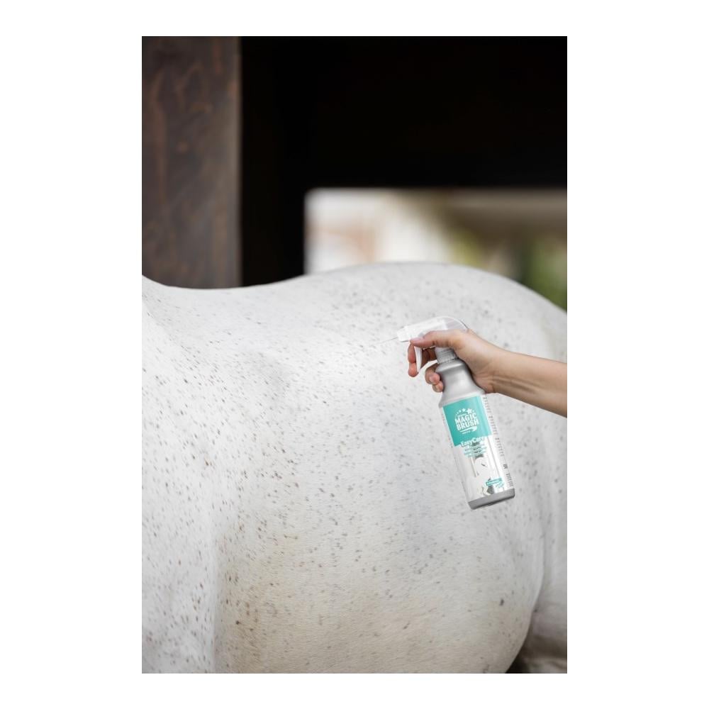 MagicBrush Lotion de nettoyage EasyCare