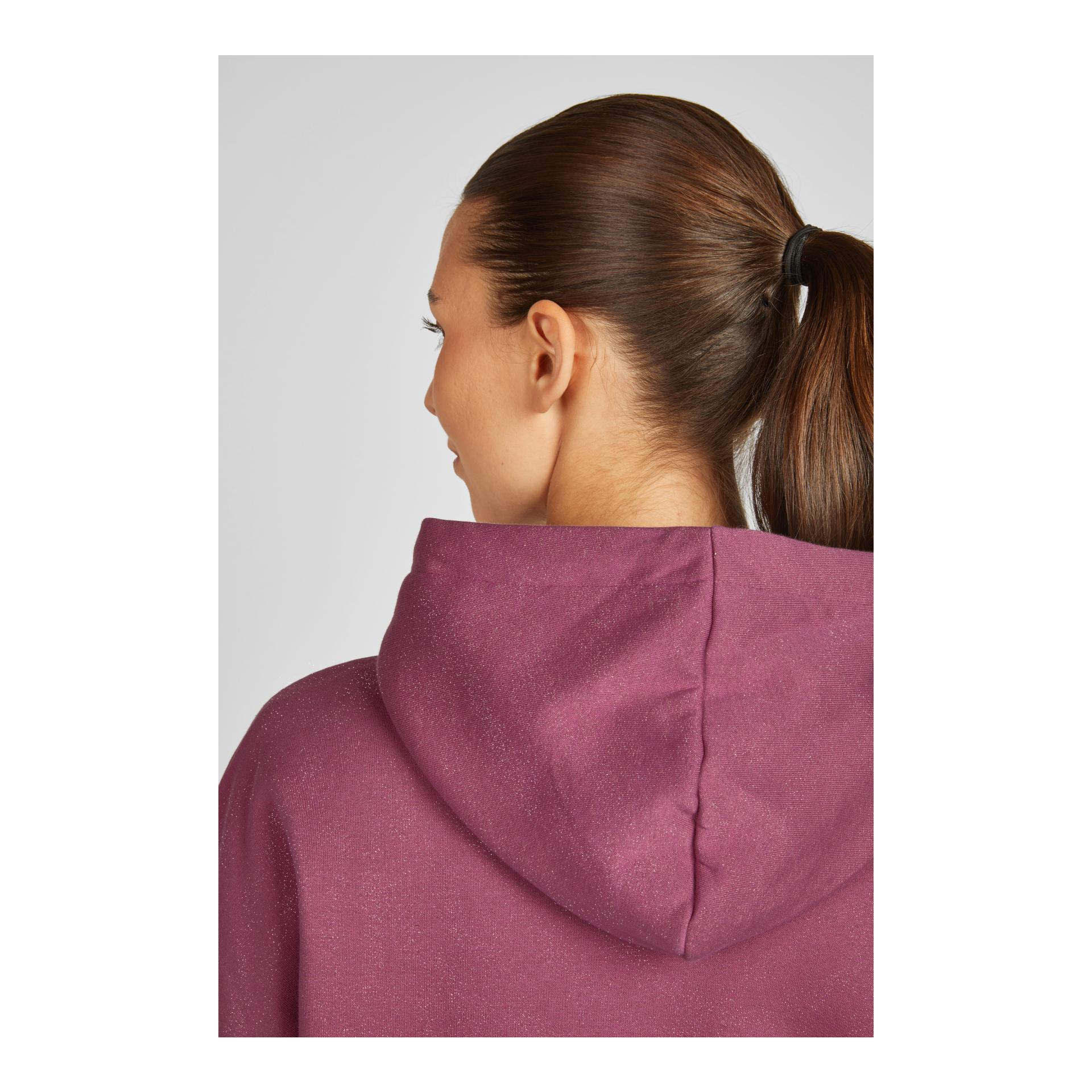 Hoodie Sparkle Heritage 25/26