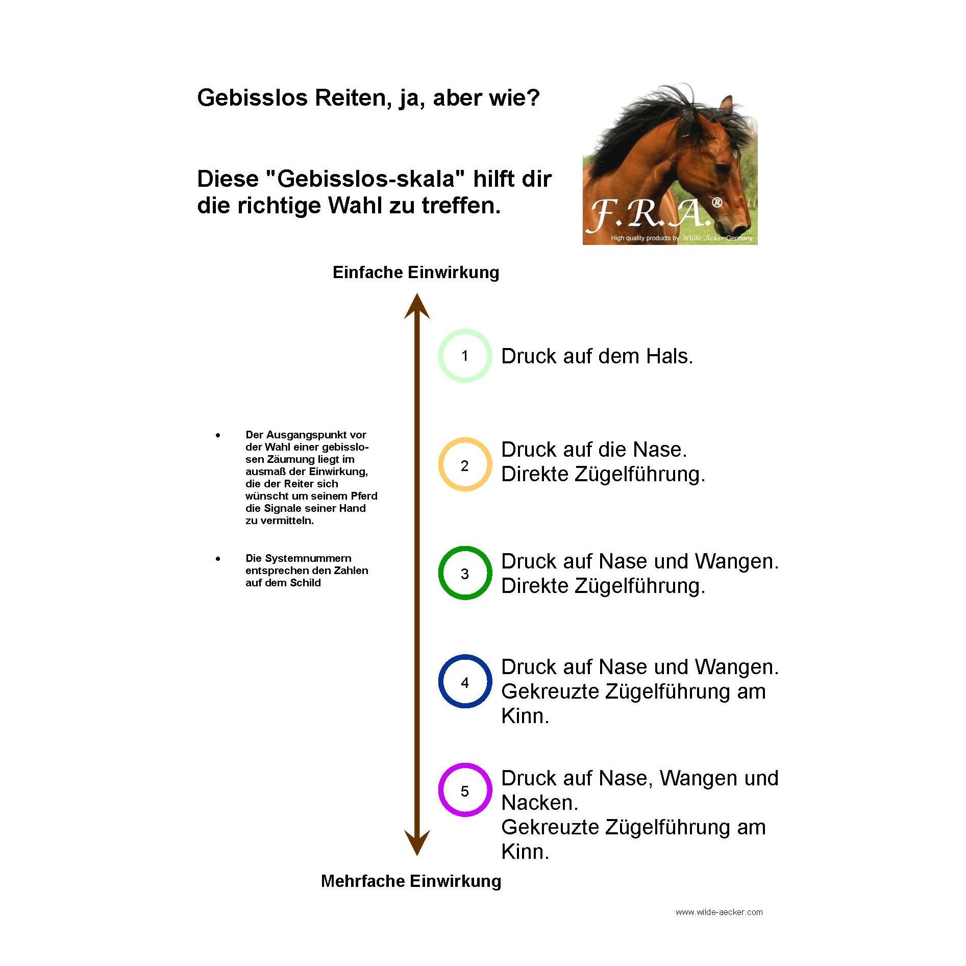 Glory System 2, Hackamore mit Perlen