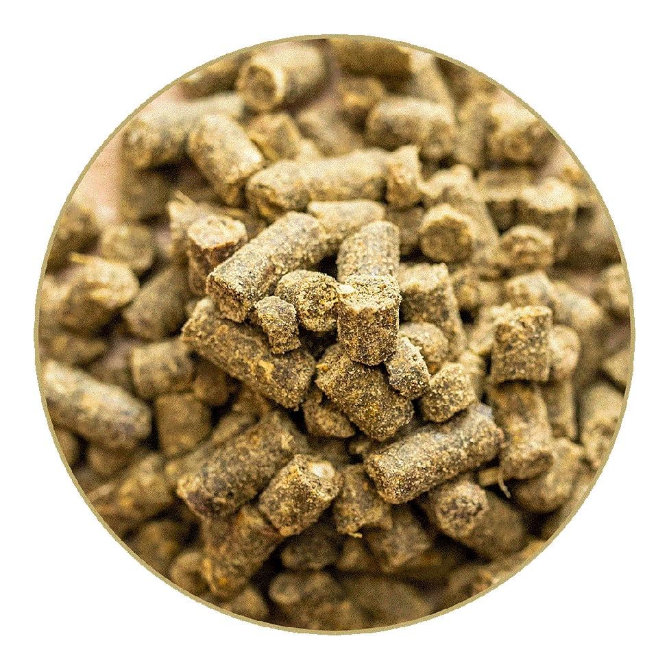 St. Hippolyt Equilizer