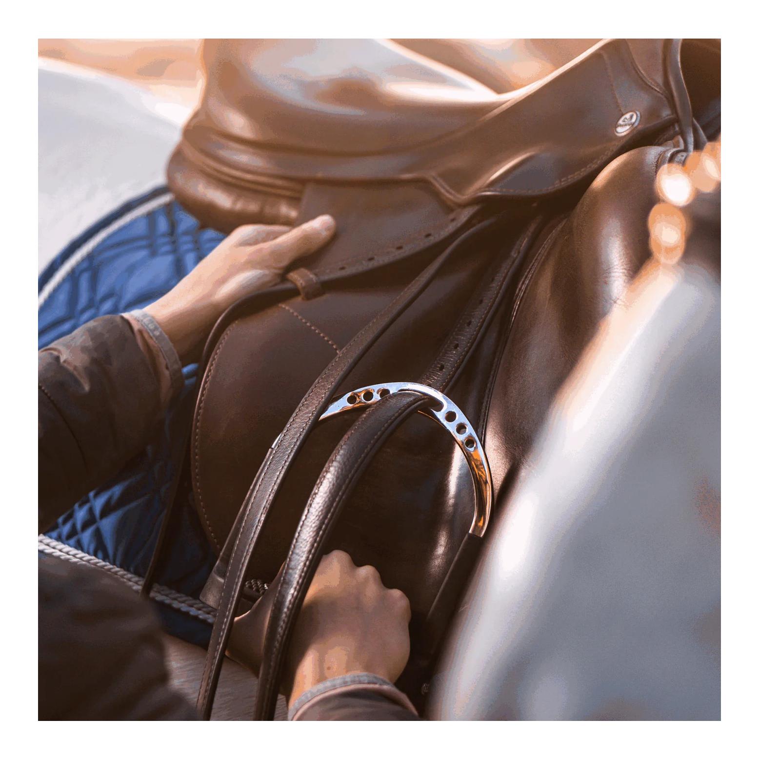 Sprenger FLEXCITE Grip Steigbügel