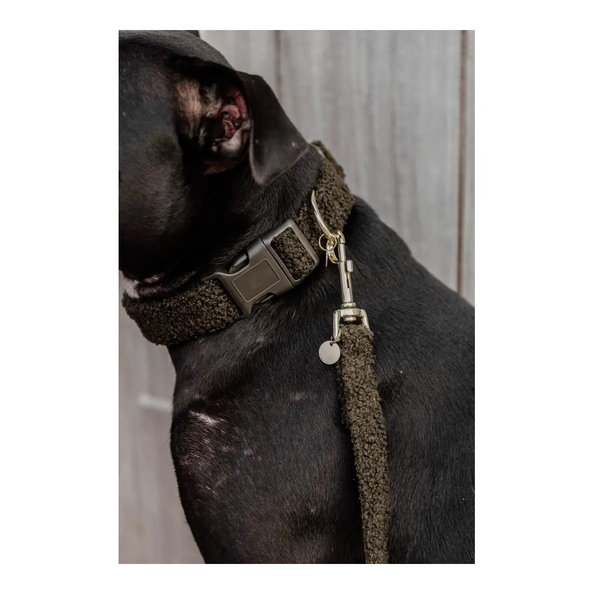 Hundehalsband Teddy Fleece