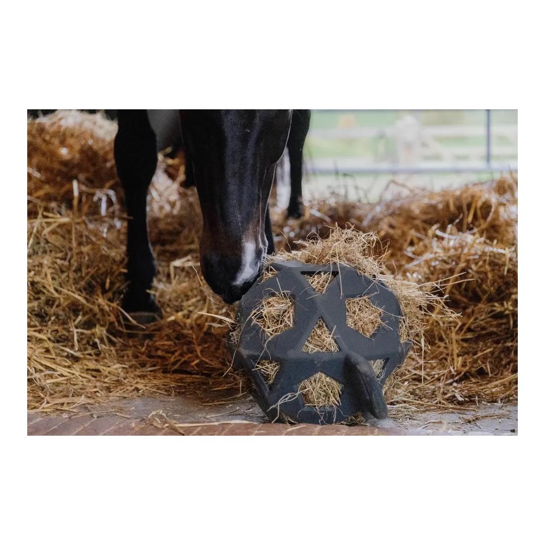 Relax Horse Spiel & Heuball Relax Horse Spiel & Heuball