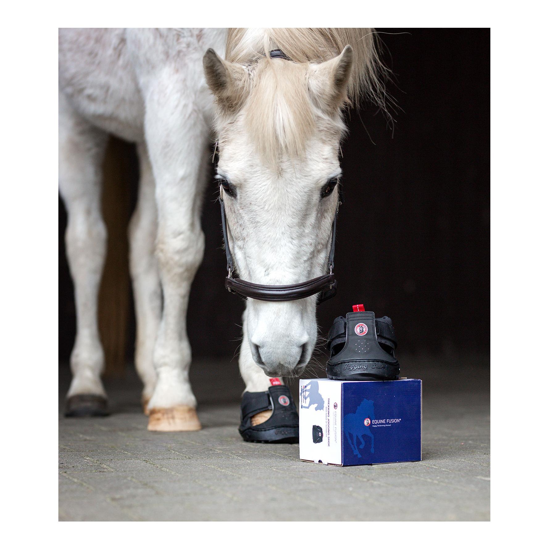 Equine Fusion Equine FusionTrekking Shoe Slim