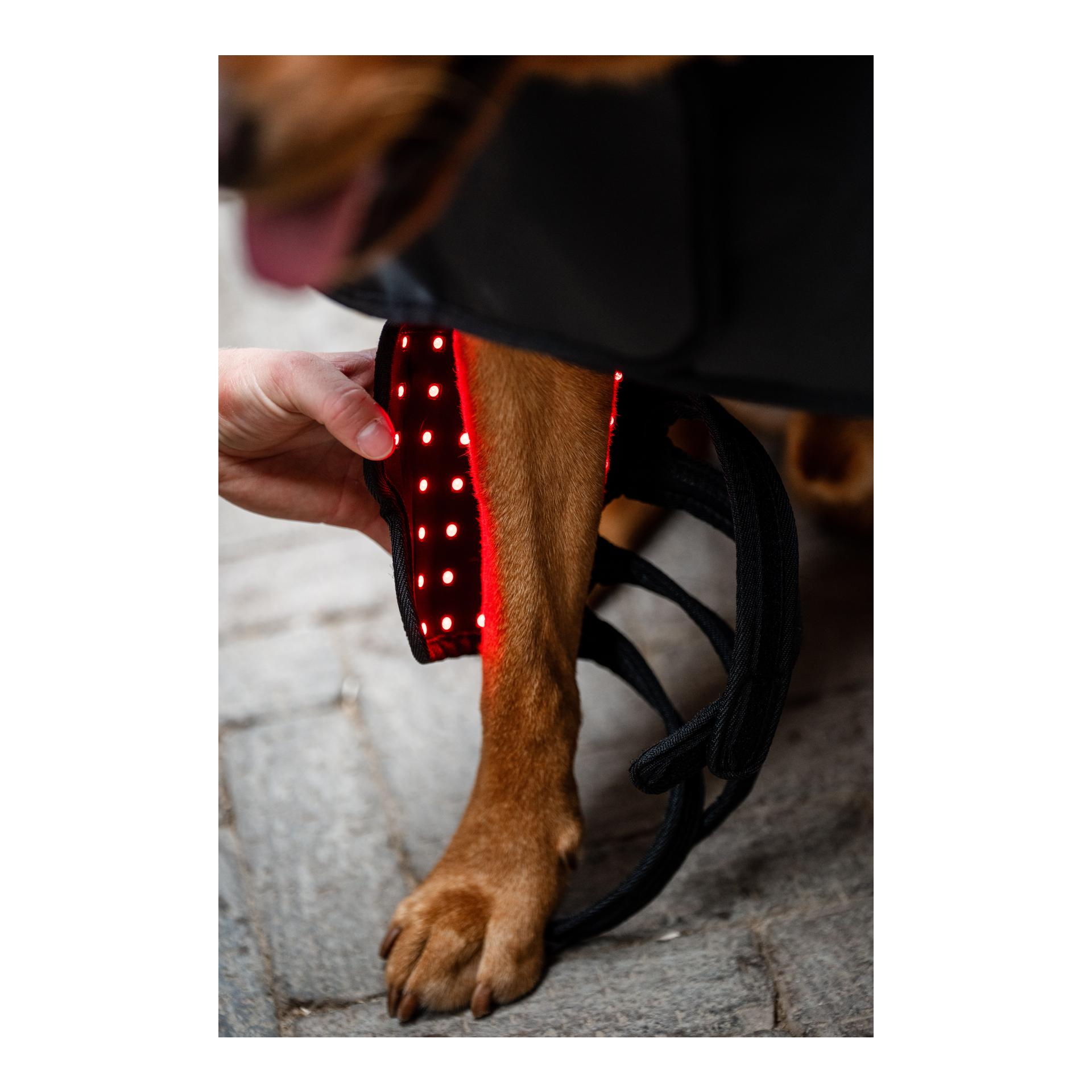 Horseware LED Red Light Therapy Pet Leg Wraps Pair