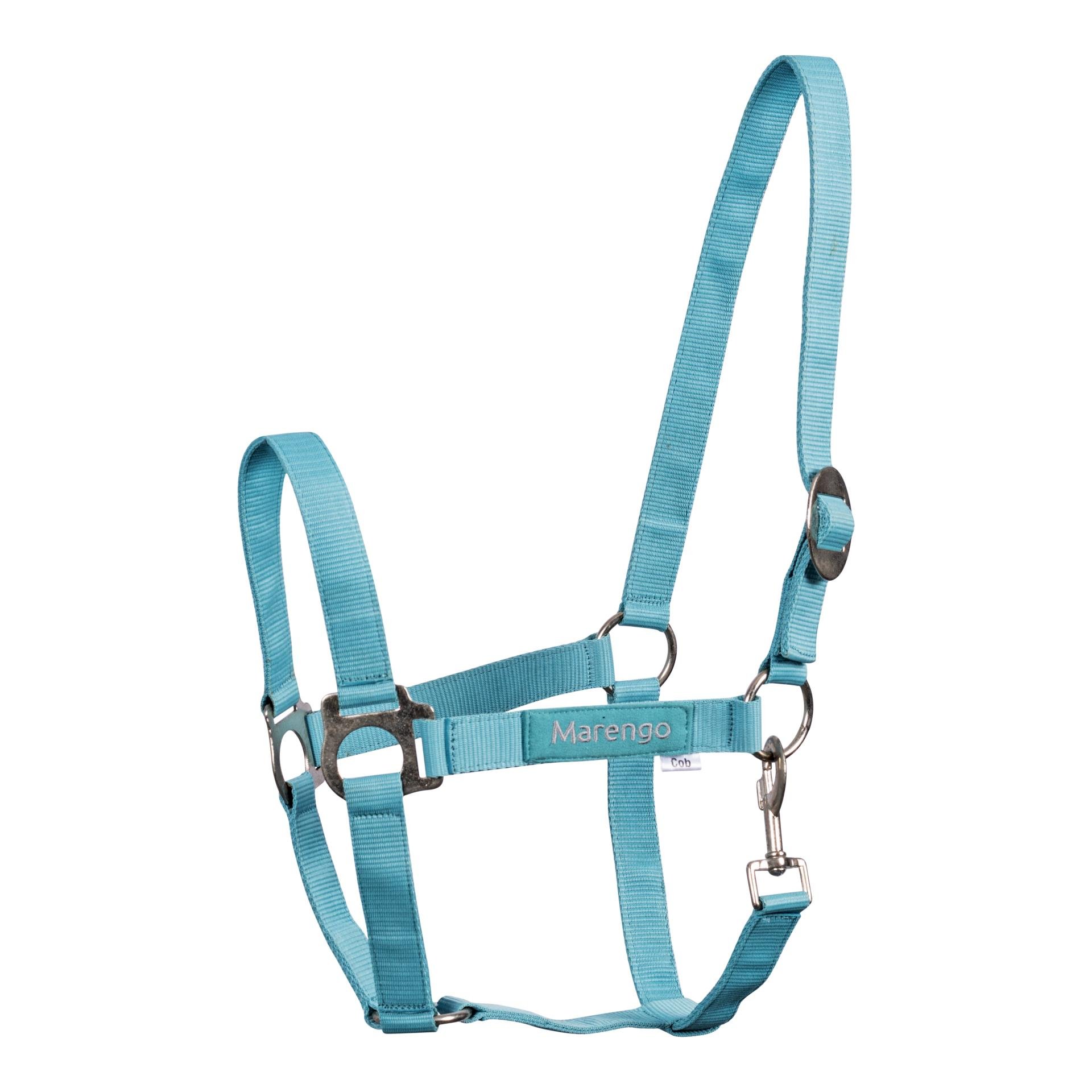 Nylonhalfter Basic Nylonhalfter Basic