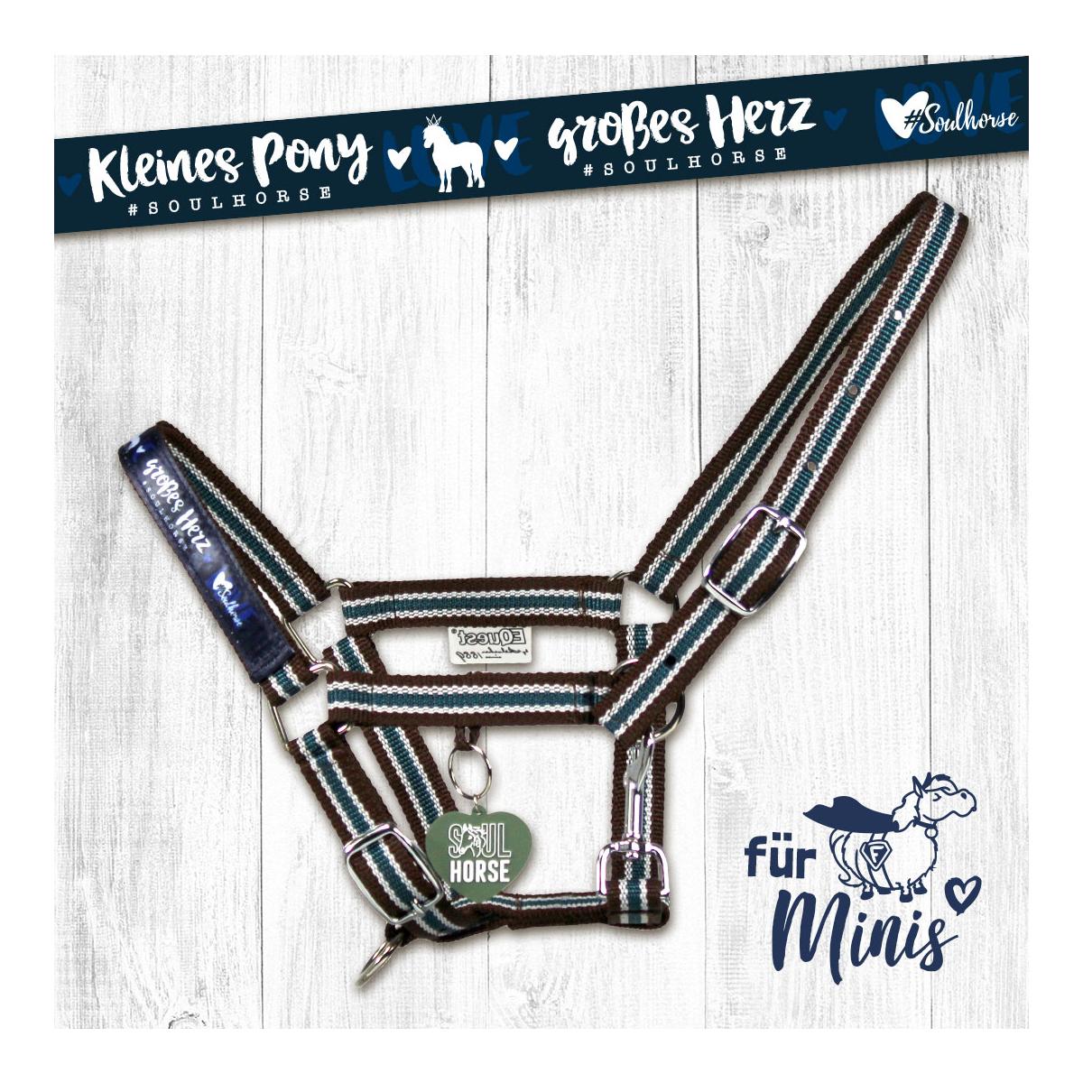 Halfter Shetty & Mini-Shetty