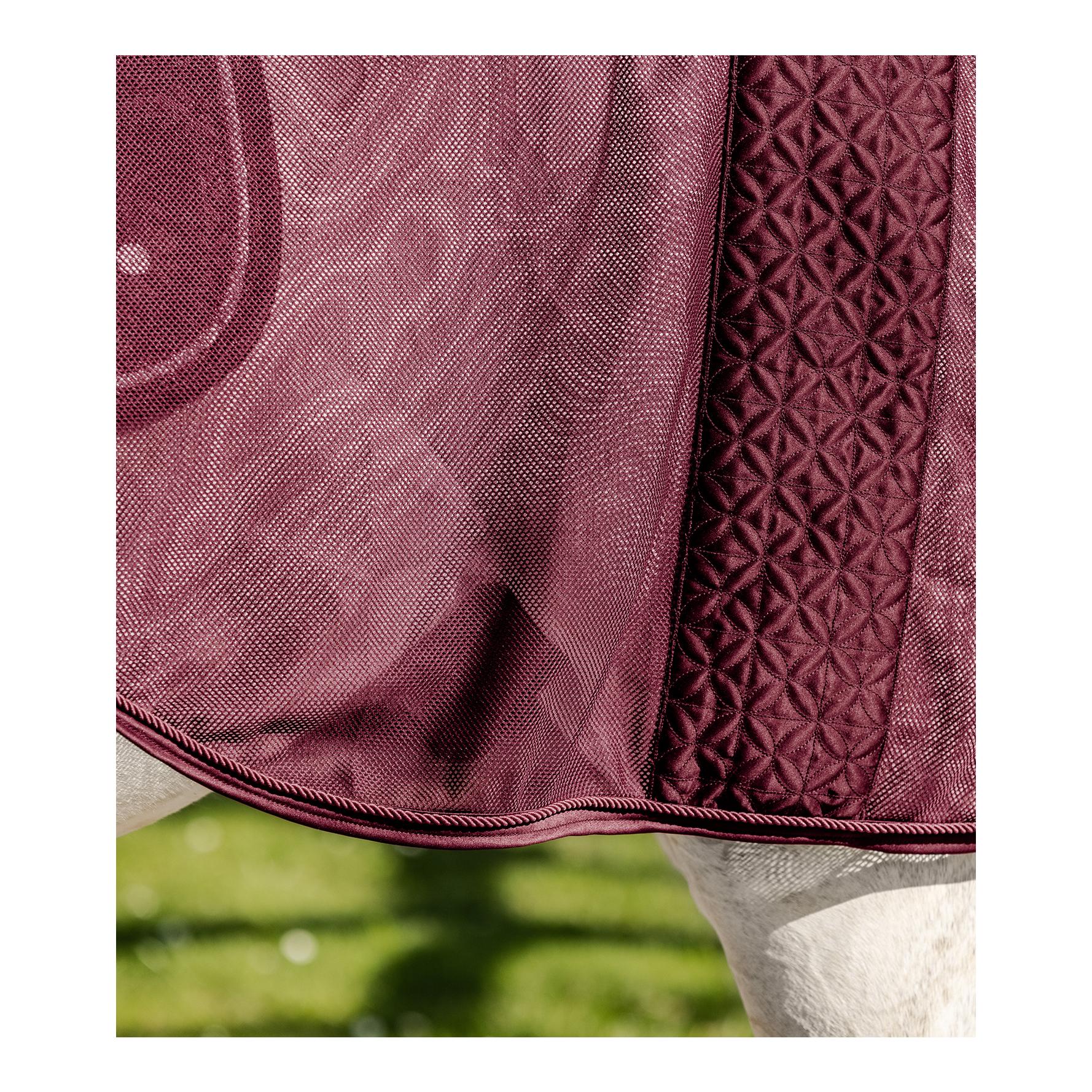 Fliegen-Ausreitdecke Rom