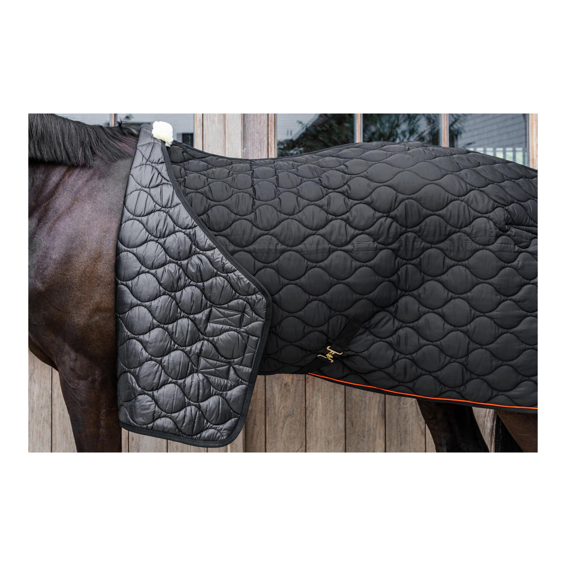 Kentucky Stalldecke Wave 160g