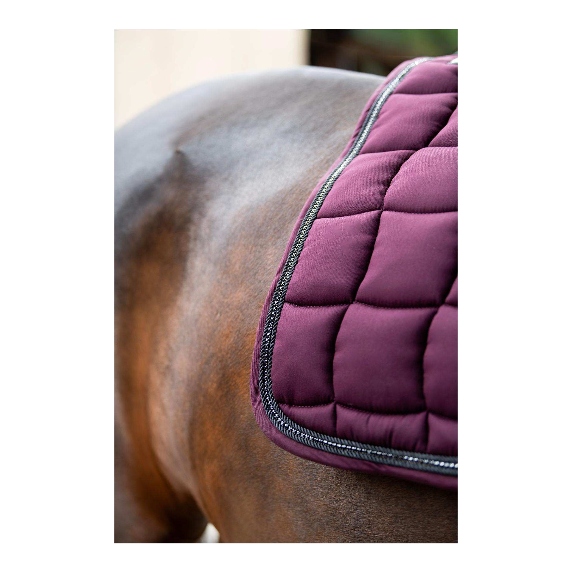 Schabracke Performance