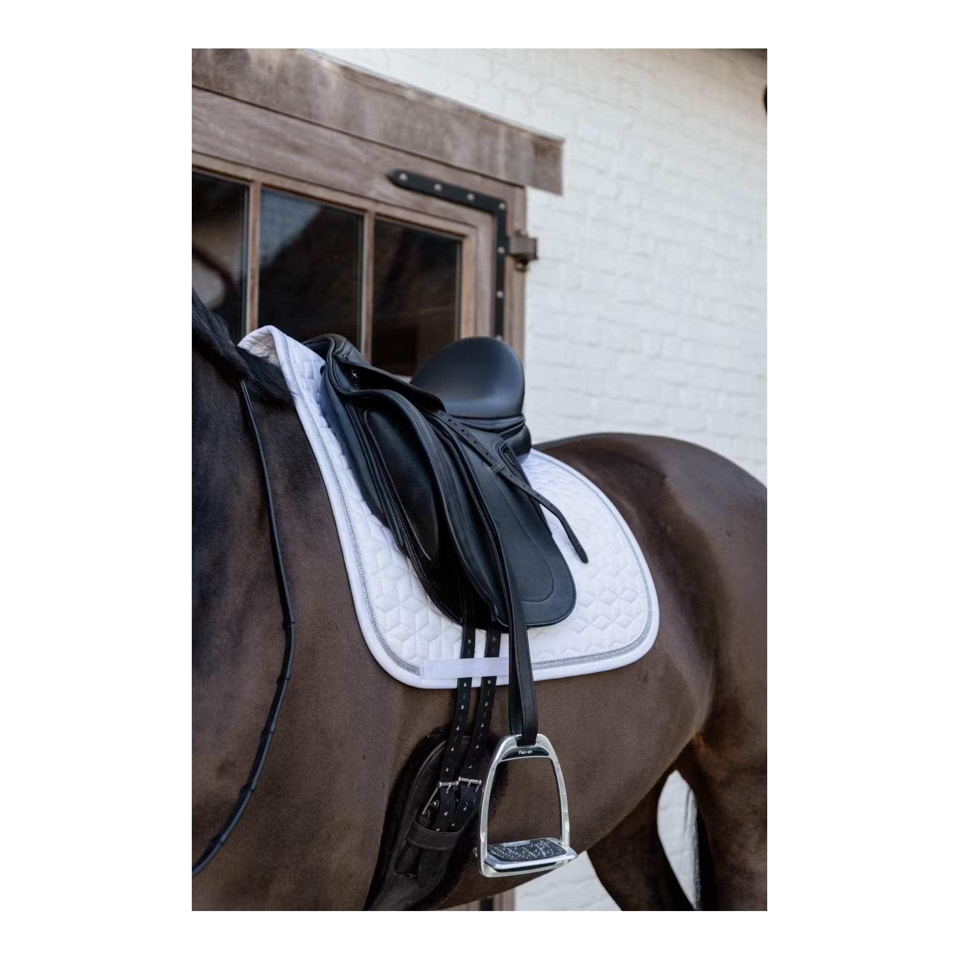 Schabracke glitter rope dressage Schabracke glitter rope dressage