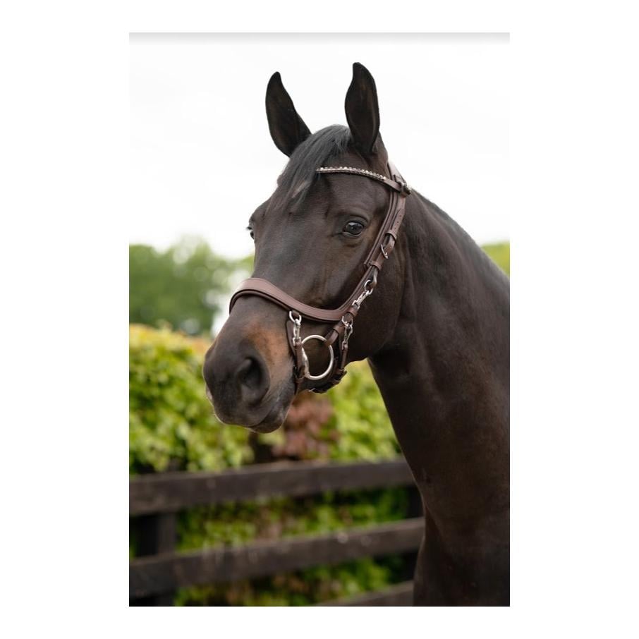 Bride FaySport – brun