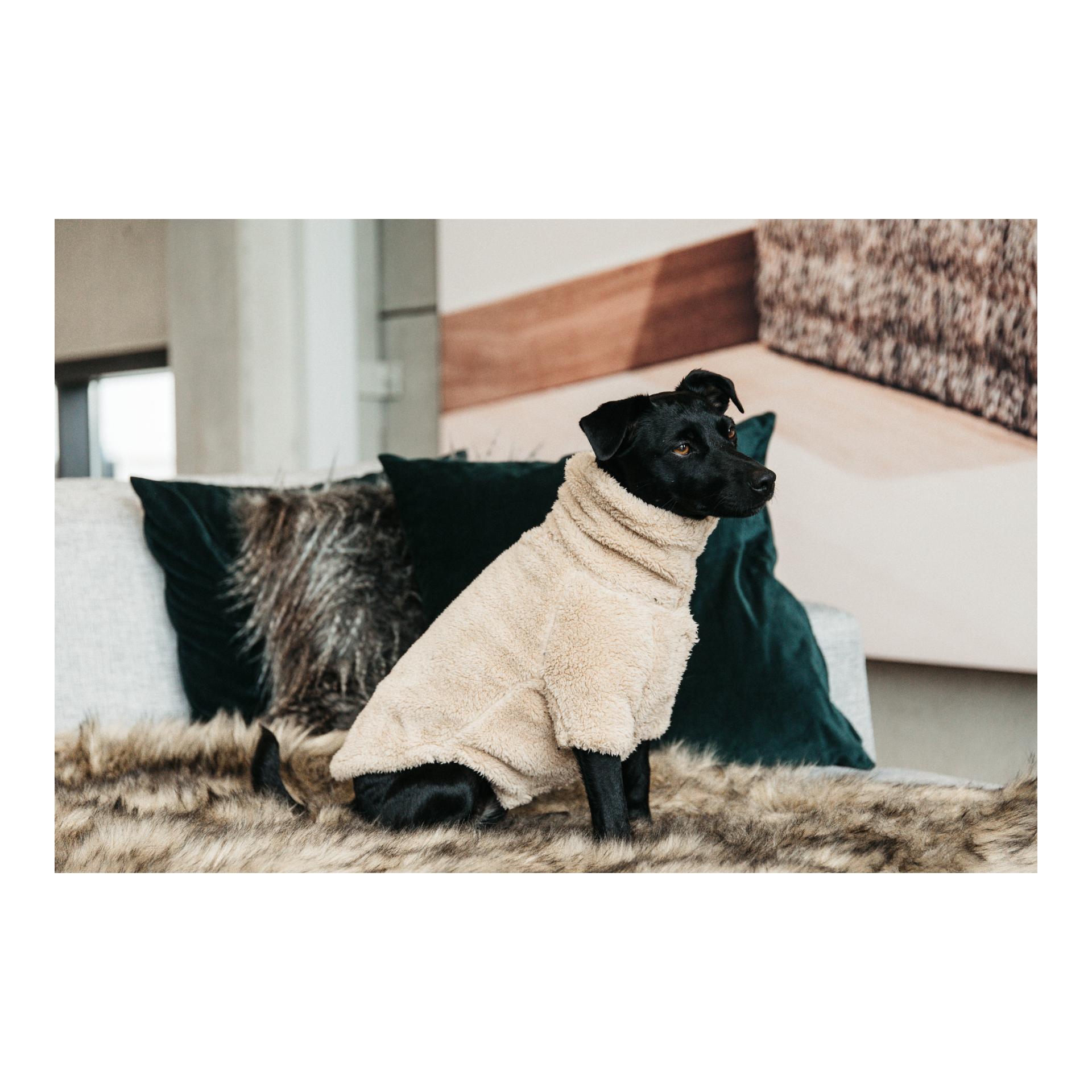 Hundepullover Teddy Fleece - beige Hundepullover Teddy Fleece - beige