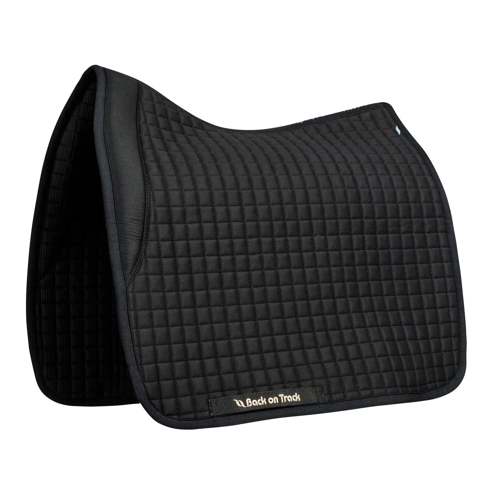 Chabraque de dressage No. III