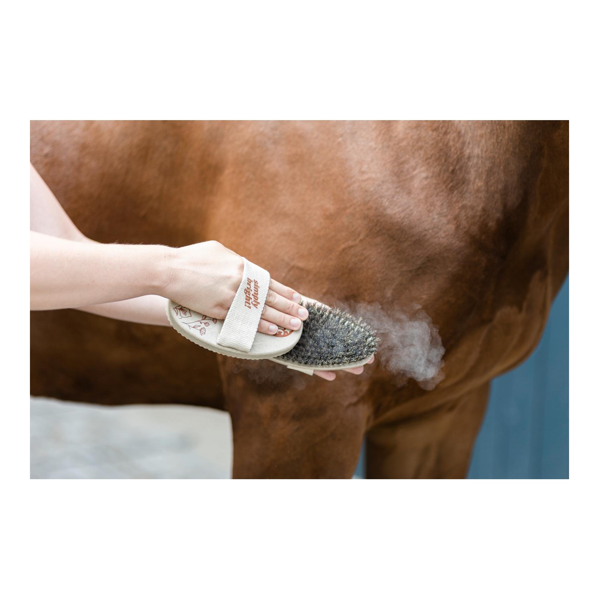 Kardätsche WaterLily