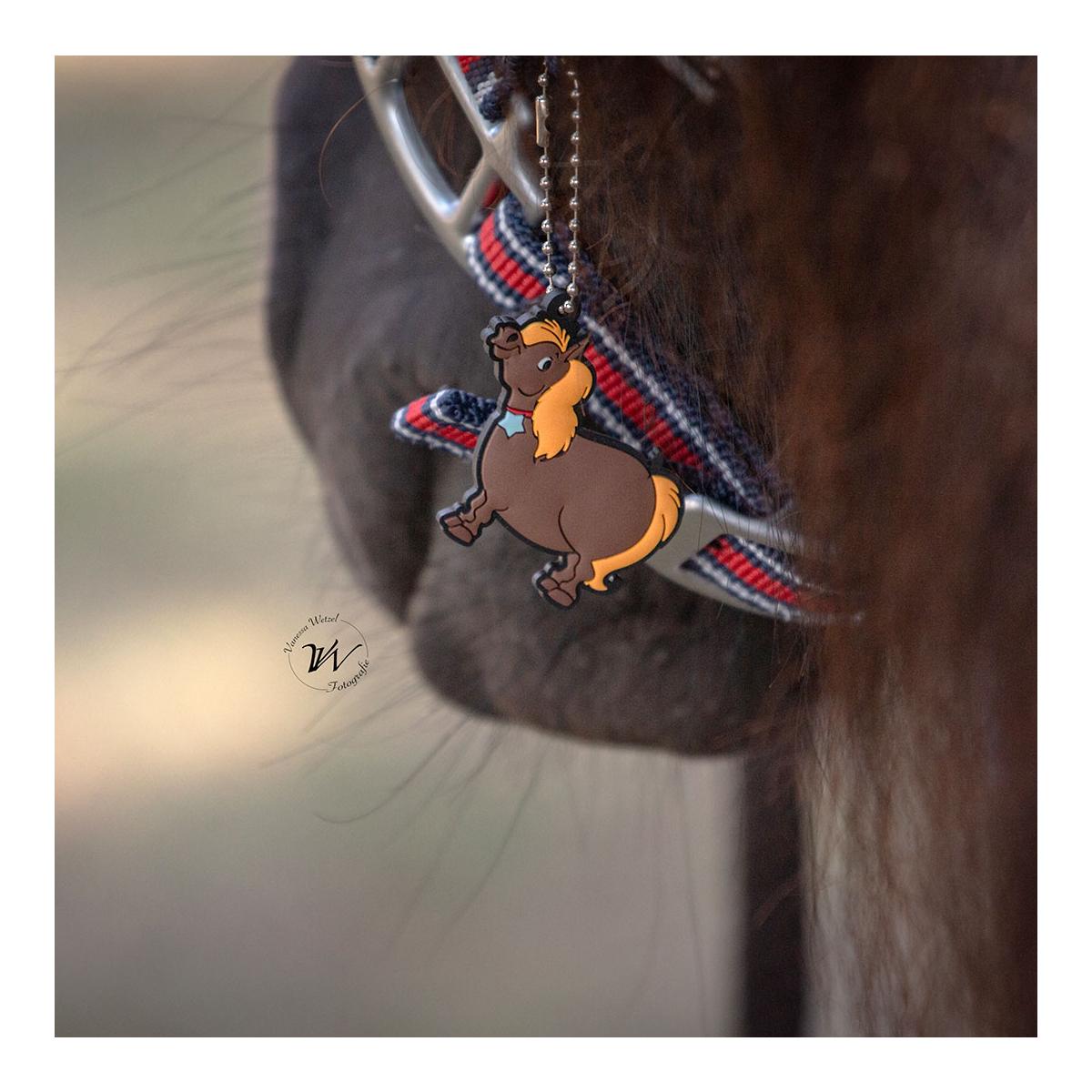 Halfter Dual Alu "Pony Club"