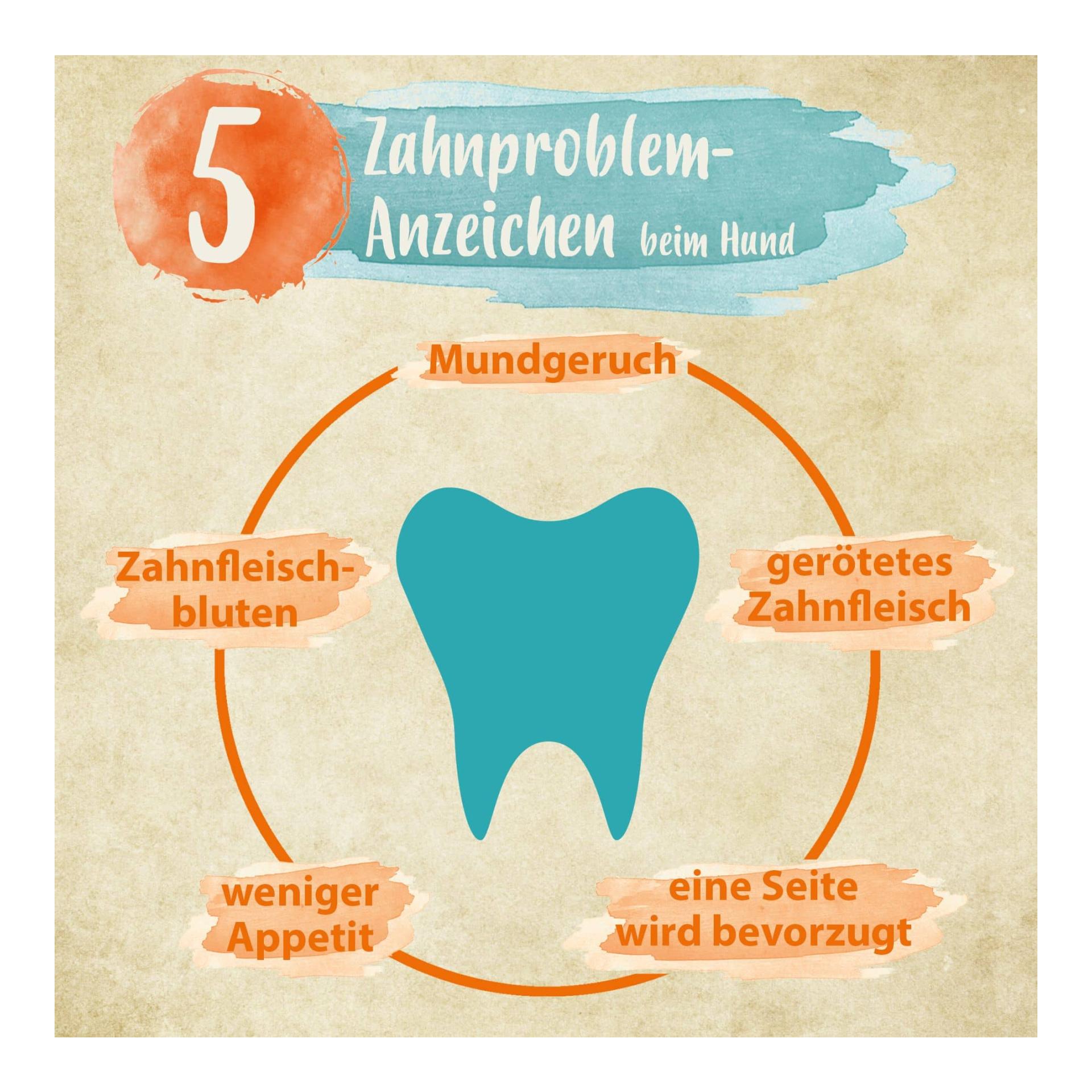 IdaPlus Denta Dog - kinderleichte Hunde Zahnpflege - stoppt Hunde Mundgeruch