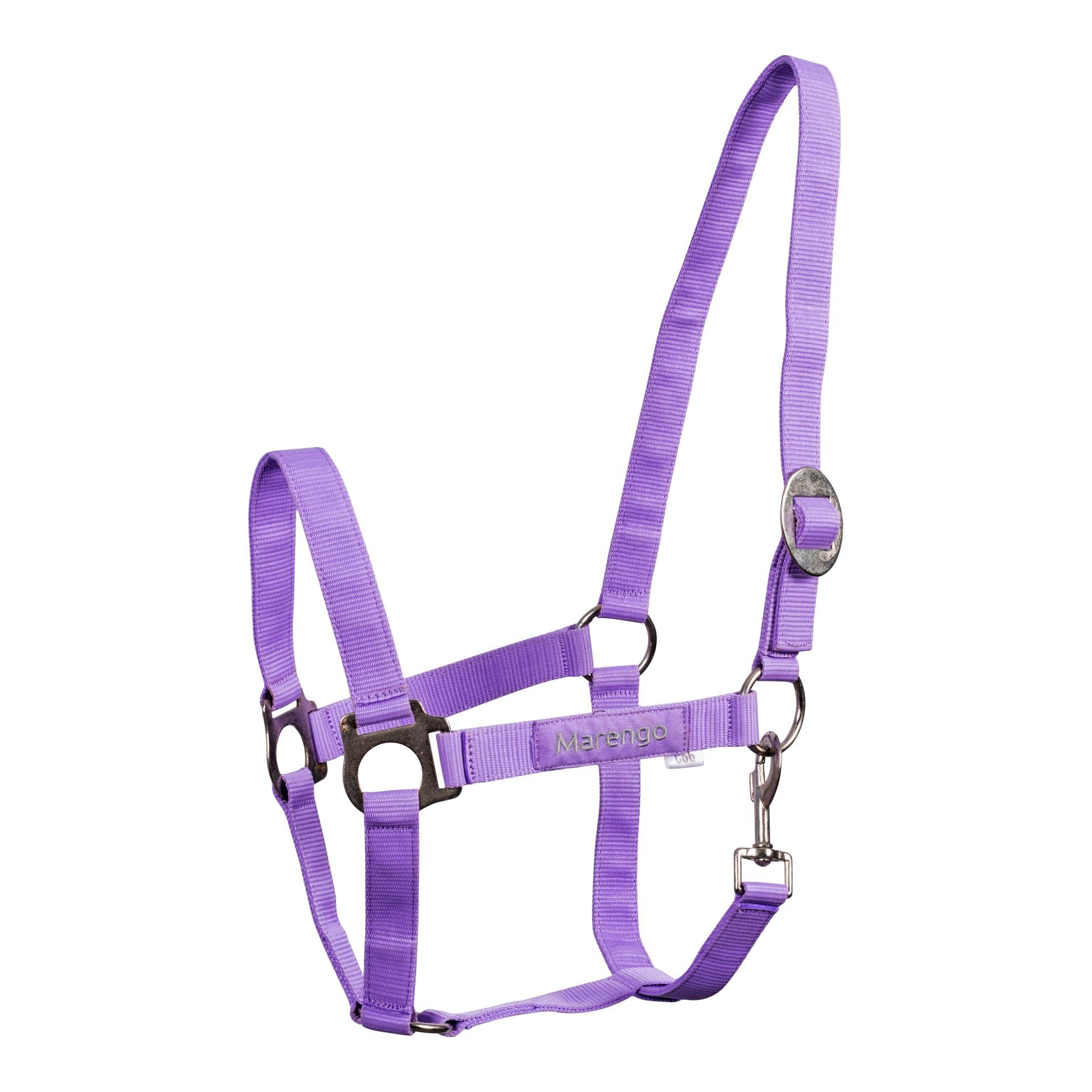 Nylonhalfter Basic Nylonhalfter Basic