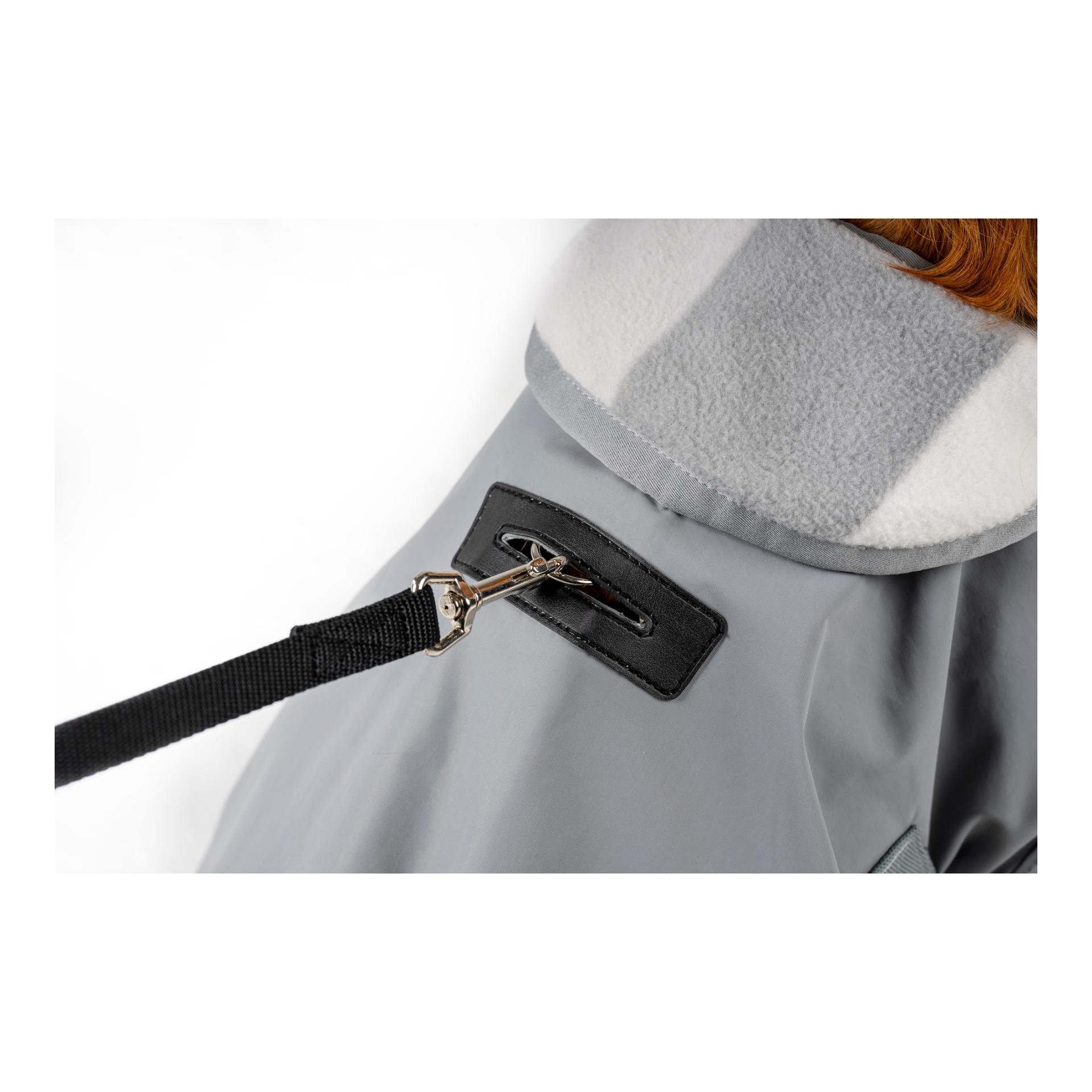 Hundedecke Newmarket