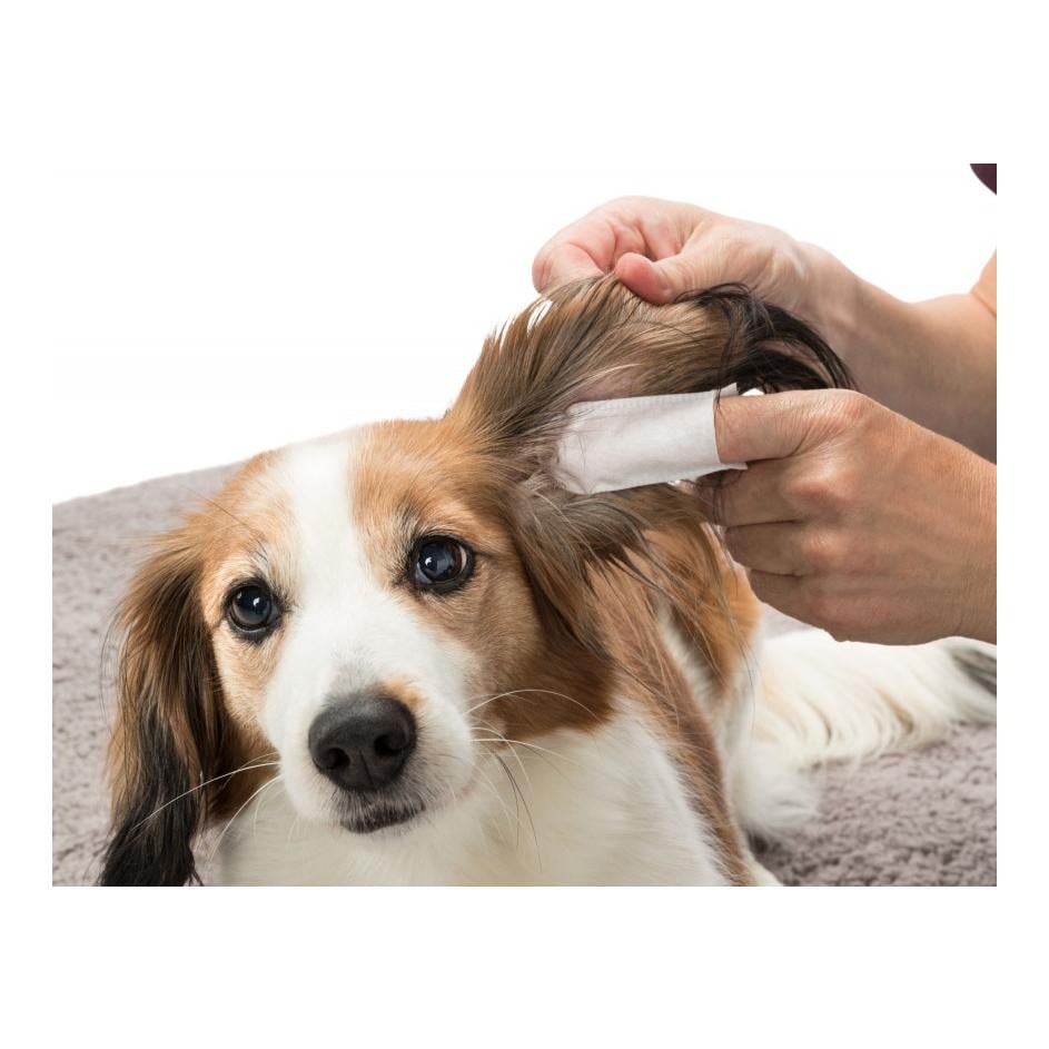 TRIXIE Ohrenpflege Einweg-Fingerpads