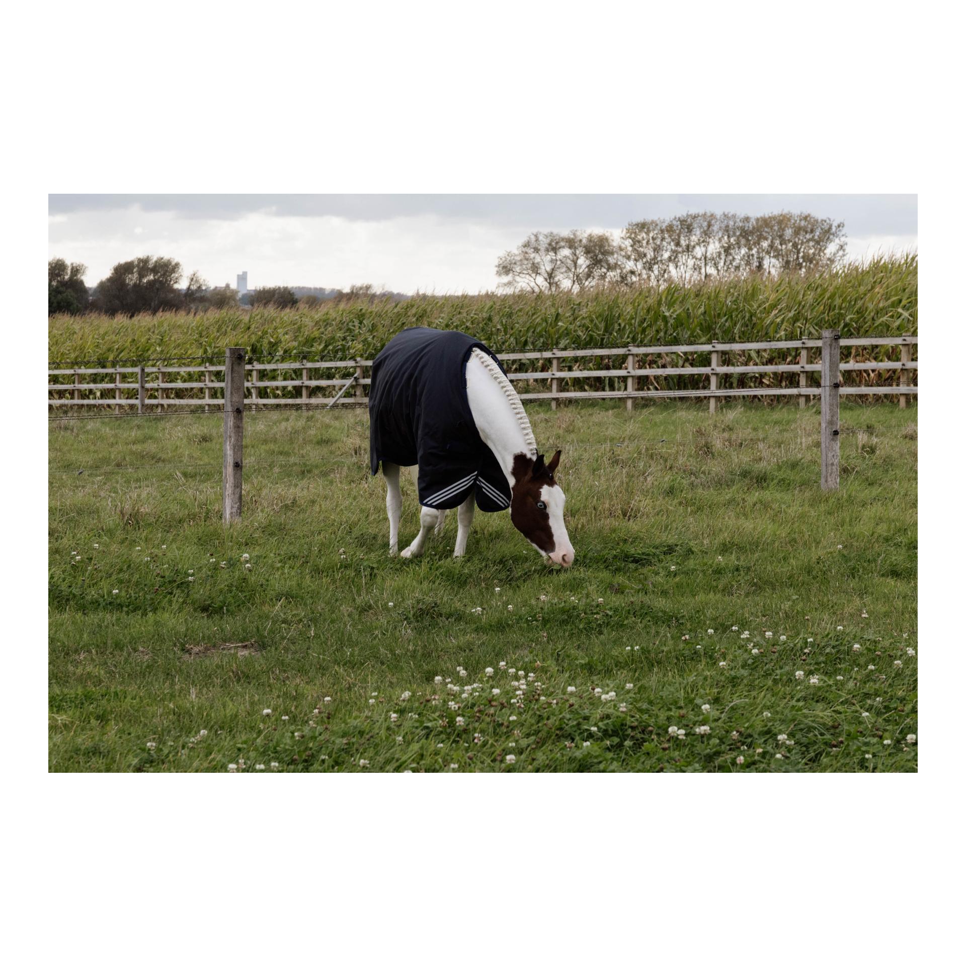 Weidedecke all Weather waterproof Comfort 400g Weidedecke all Weather waterproof Comfort 400g