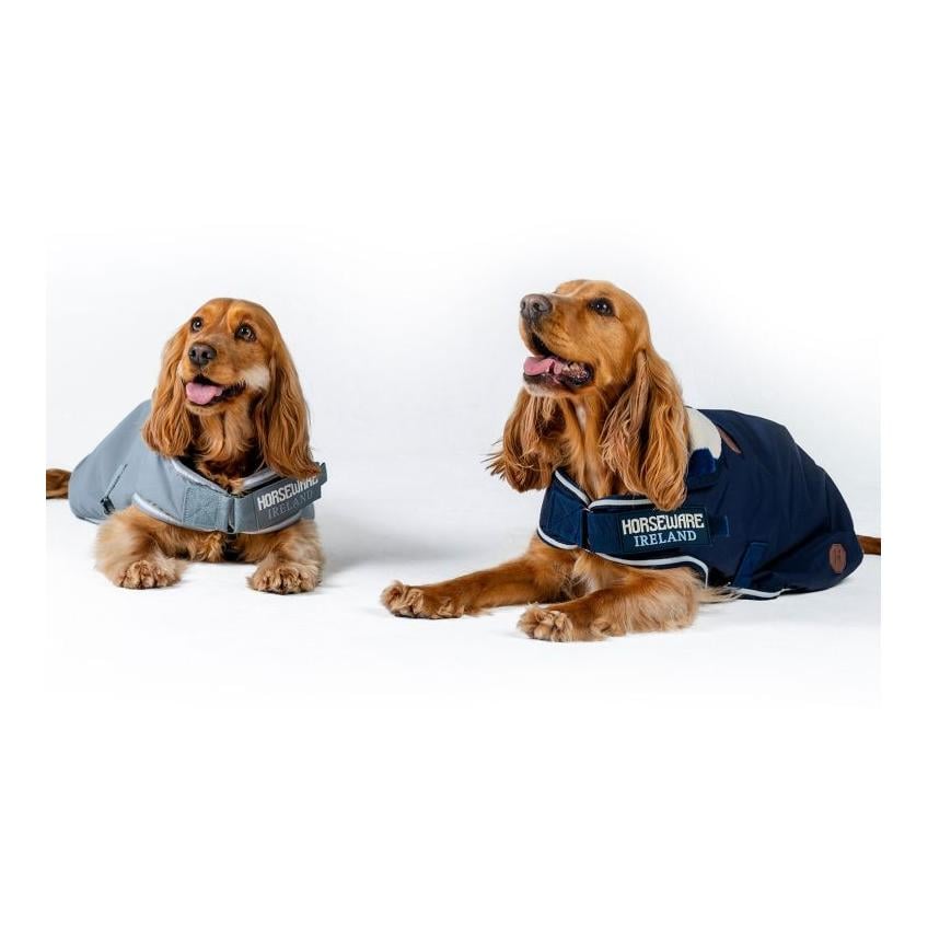 Hundedecke Newmarket