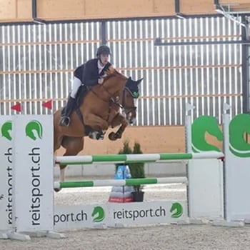 3erbild GLK_0000_image0 (2)