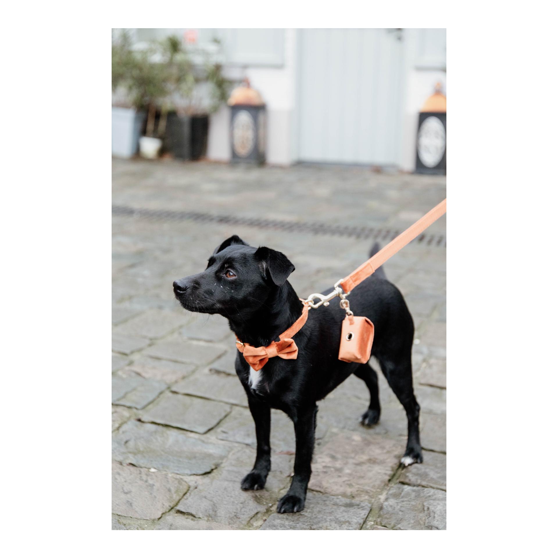 Noeud papillon velvet