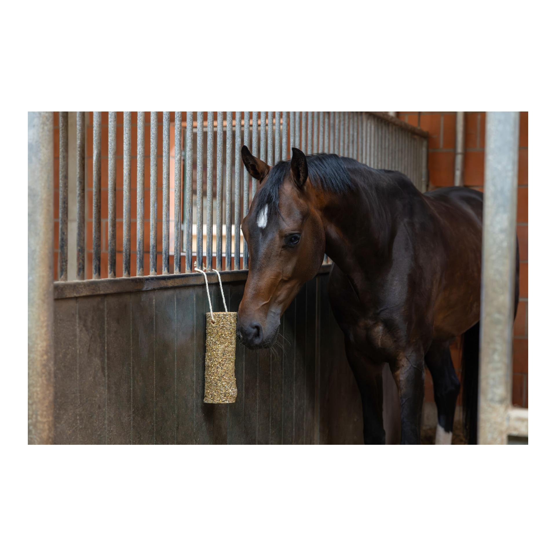 Kerbl Delizia Knabberholz Stoffwechsel