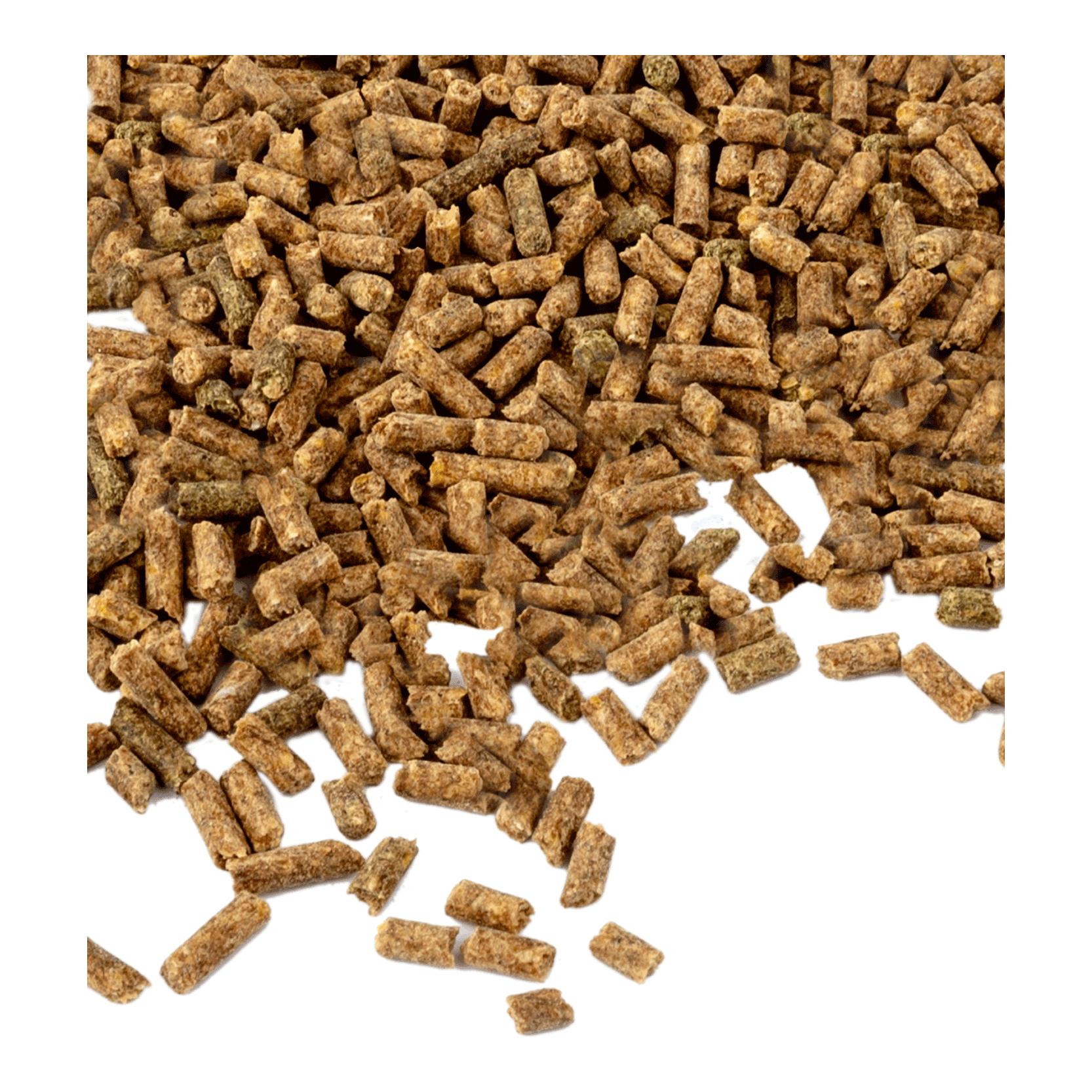 Waldhausen Vitamin E – für mehr Leistung