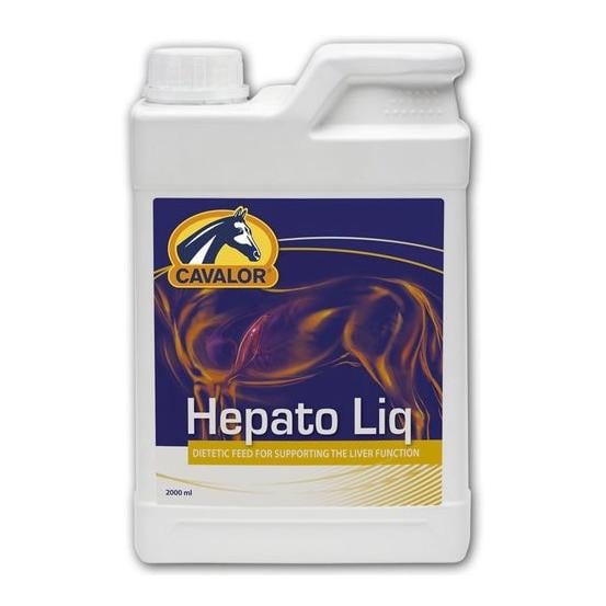 Hepato Liq - zur Unterstützung der Leber