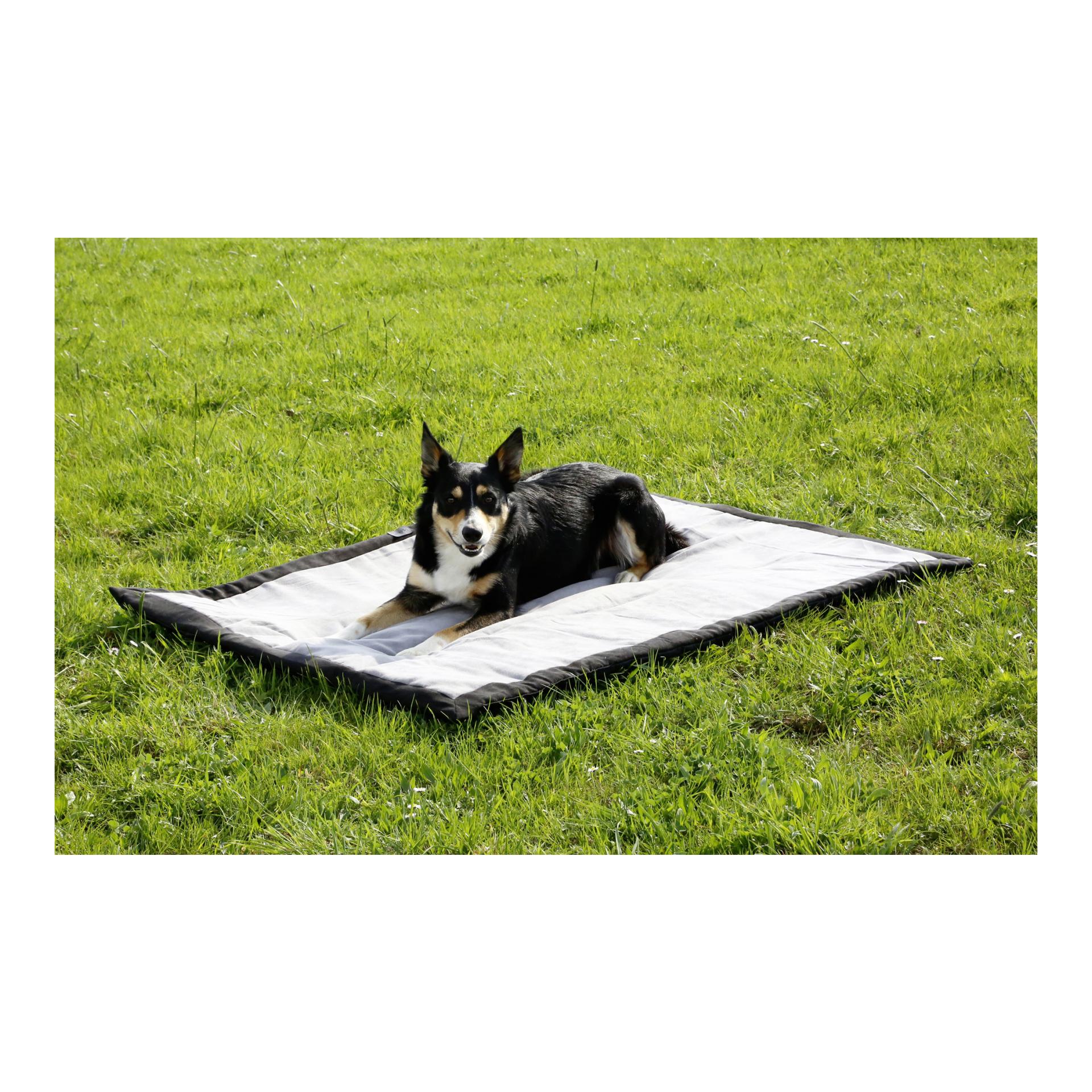 Kerbl Pet Hundematte Trip - grau/schwarz