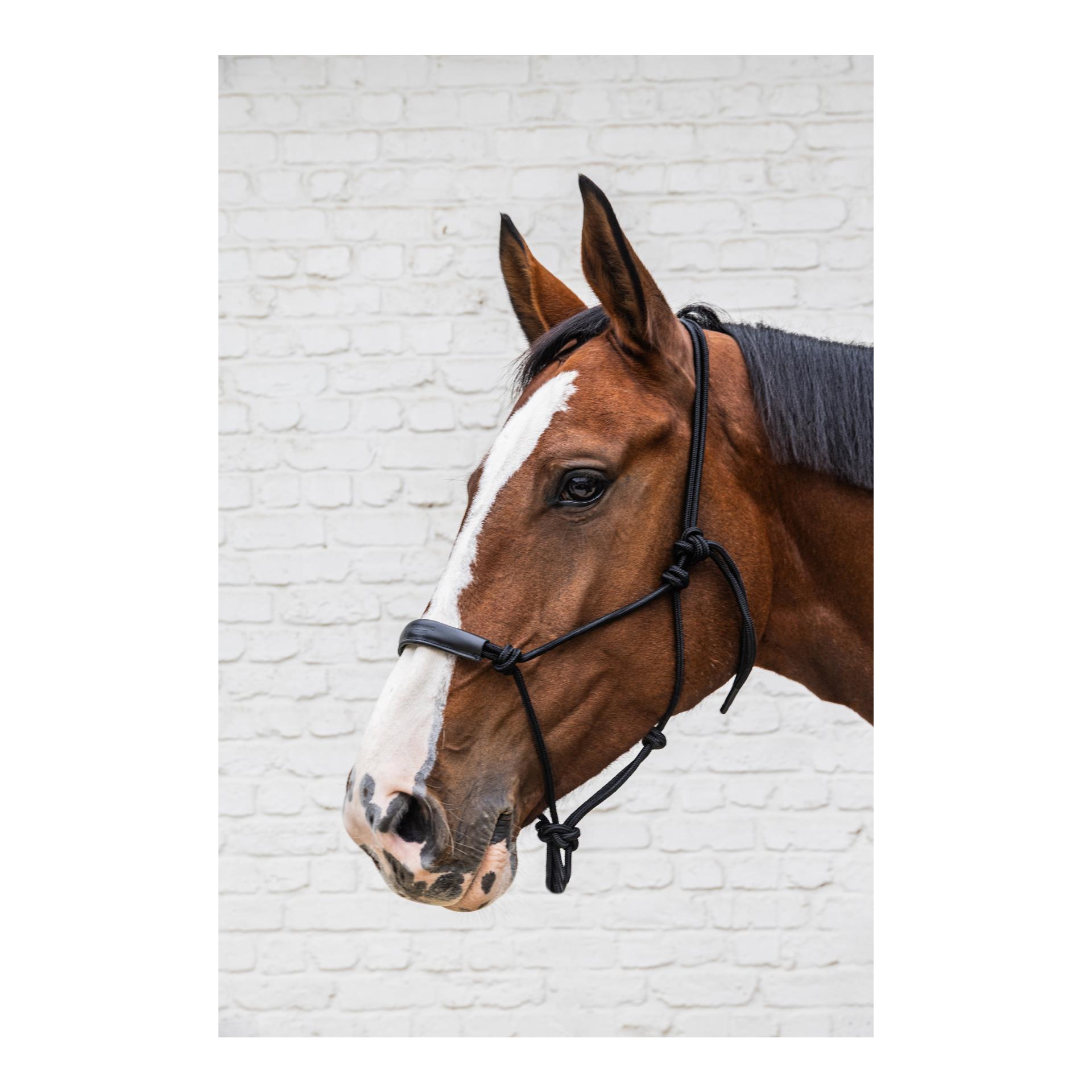 Grooming Deluxe Knotenhalfter