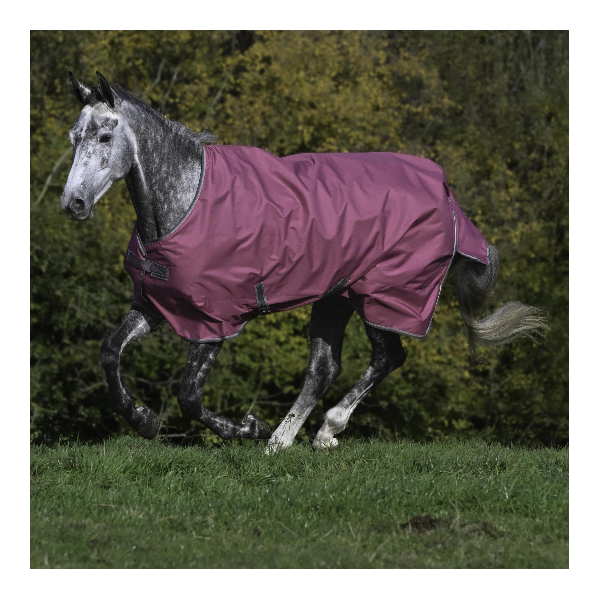 Weidedecken Freedom Turnout Light