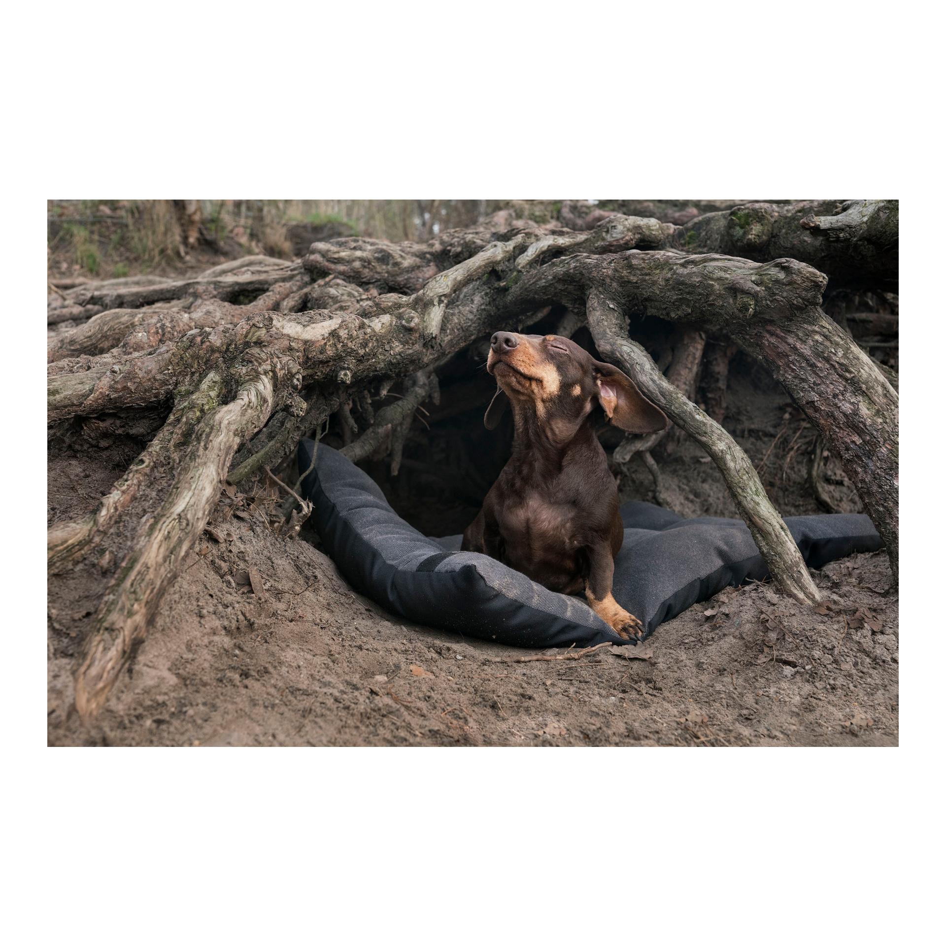 Cloud 7 Hundekissen RESC7UE